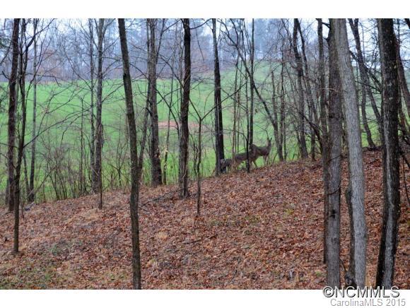 27 Alexander Farms Lane Alexander, NC 28701 - Photo 22 of 24