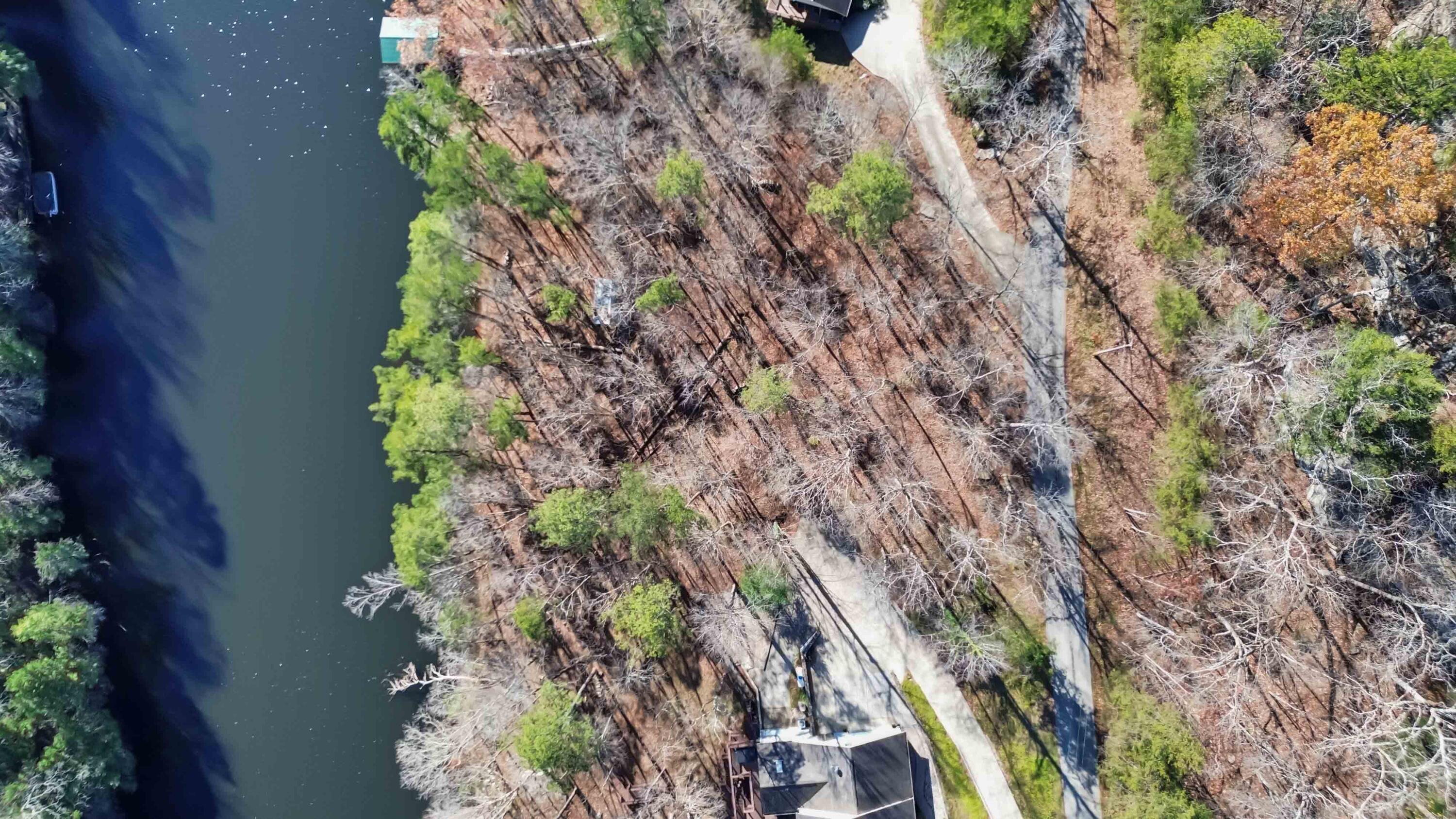 Lot 3-4 Cliffs Edge Road East Bernstadt, KY 40729 - Photo 10 of 22 008