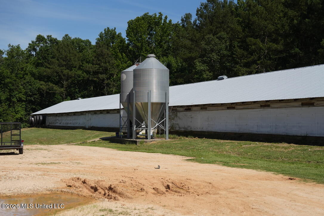 Smithtown Chicora Road State Line, MS 39362 - Photo 16 of 38 A9252916-D944-46CB-A1C6-B262A67F2492_1_1
