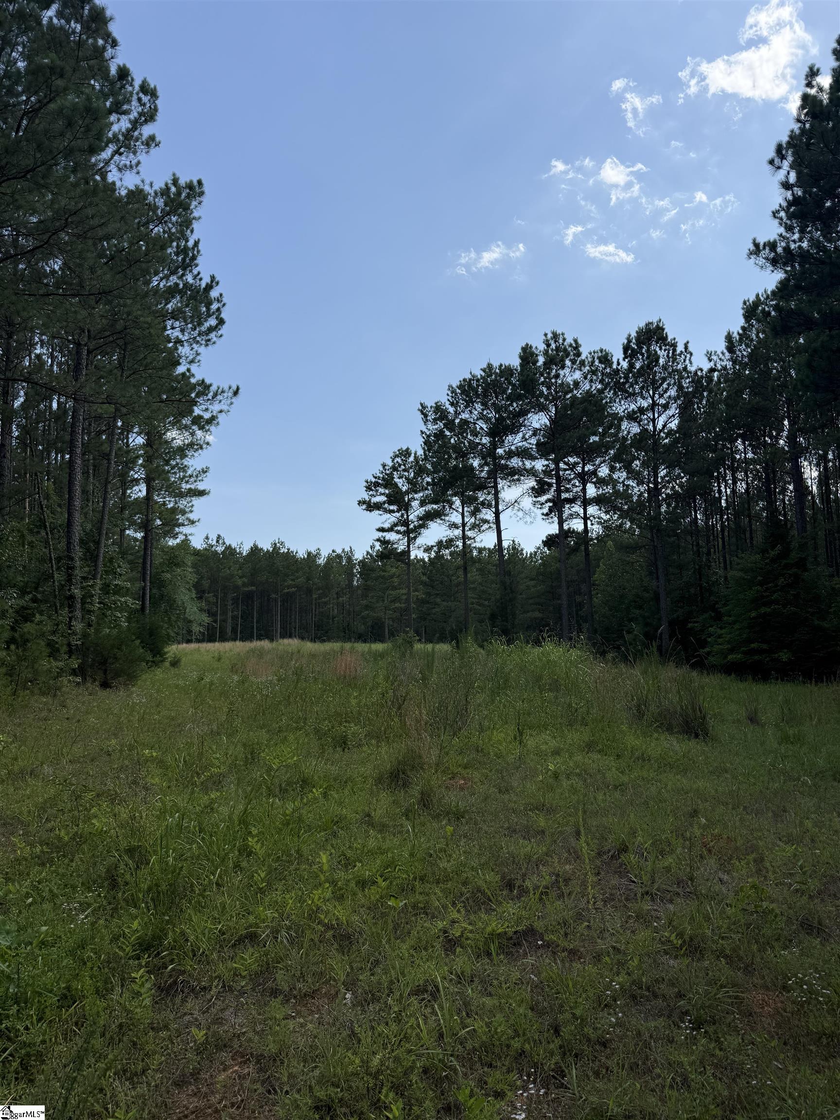 0 Walker Road Edgefield, SC 29824 - Photo 16 of 19 Gallery Image 16