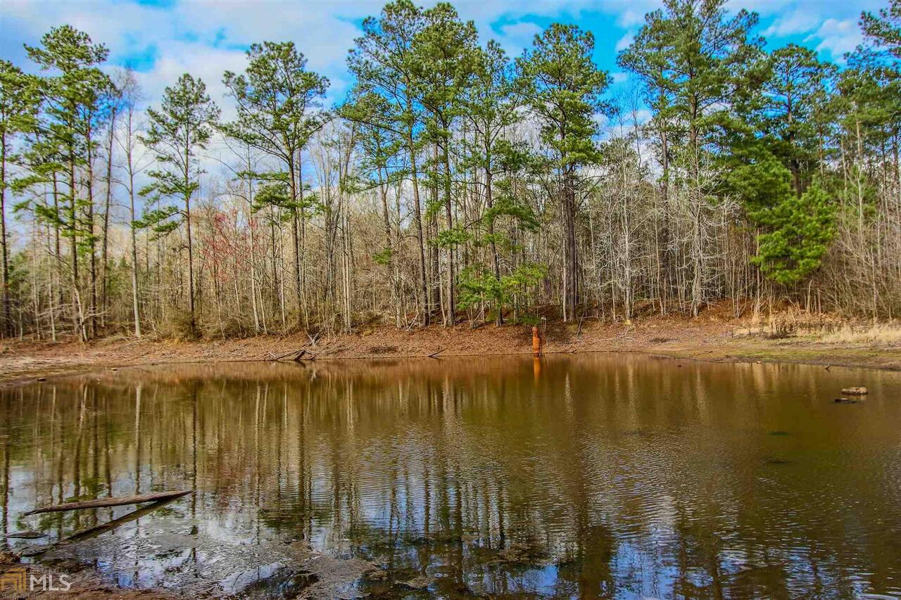 0 Hyde Rd/gary Summers Road Senoia, GA 30276 - Photo 1 of 1 Gallery Image 1