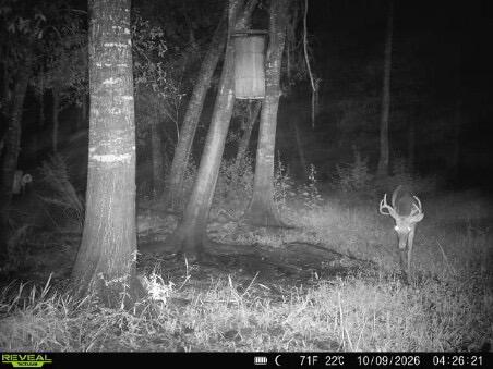 1042 Arbuckle Branch Road Sebring, FL 33870 - Photo 36 of 43 IMG_1684