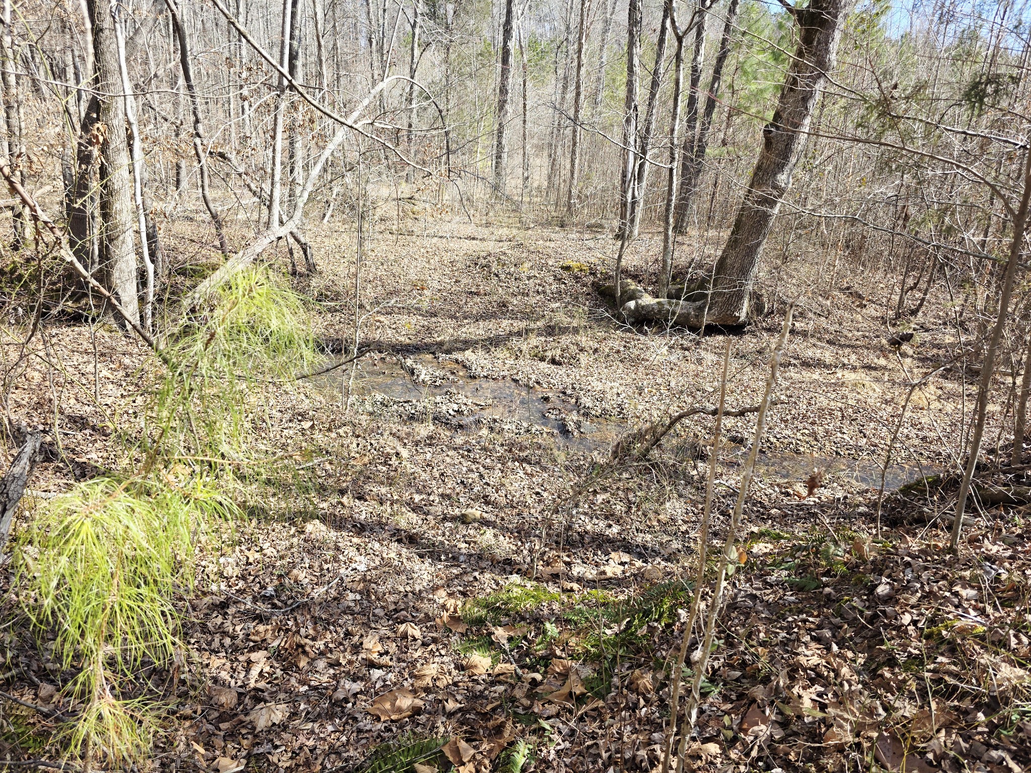 0 Birdsong Road Holladay, TN 38341 - Photo 28 of 70