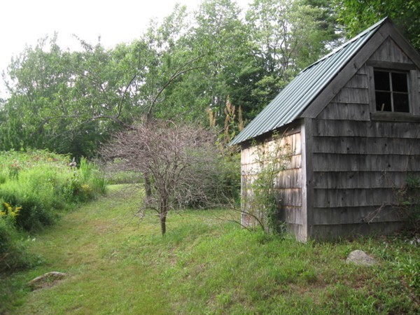 145 Leshure Road Rowe, MA 01367 - Photo 8 of 26 a backyard of a house with lots of green space