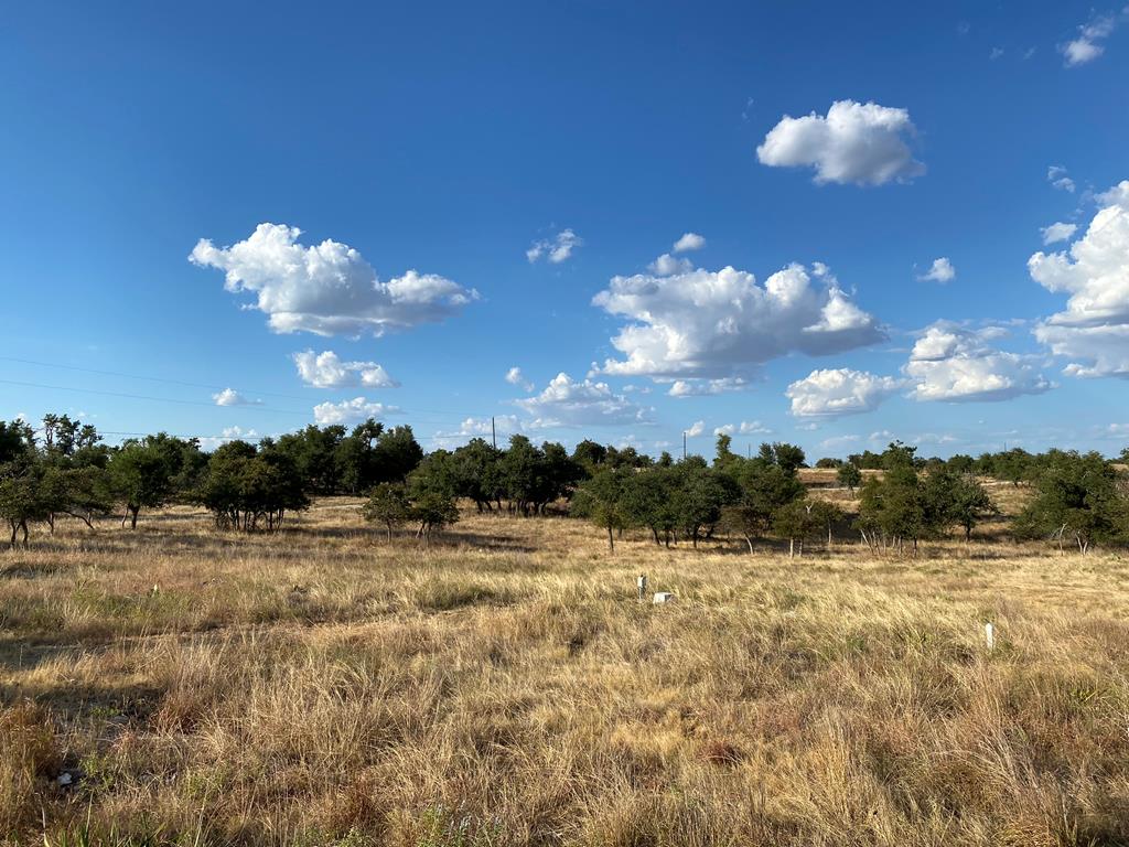 1699 Adobe Creek Road Fredericksburg, TX 78624 - Photo 2 of 68