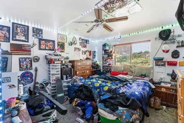 a view of house with patio outdoor seating and covered with trees