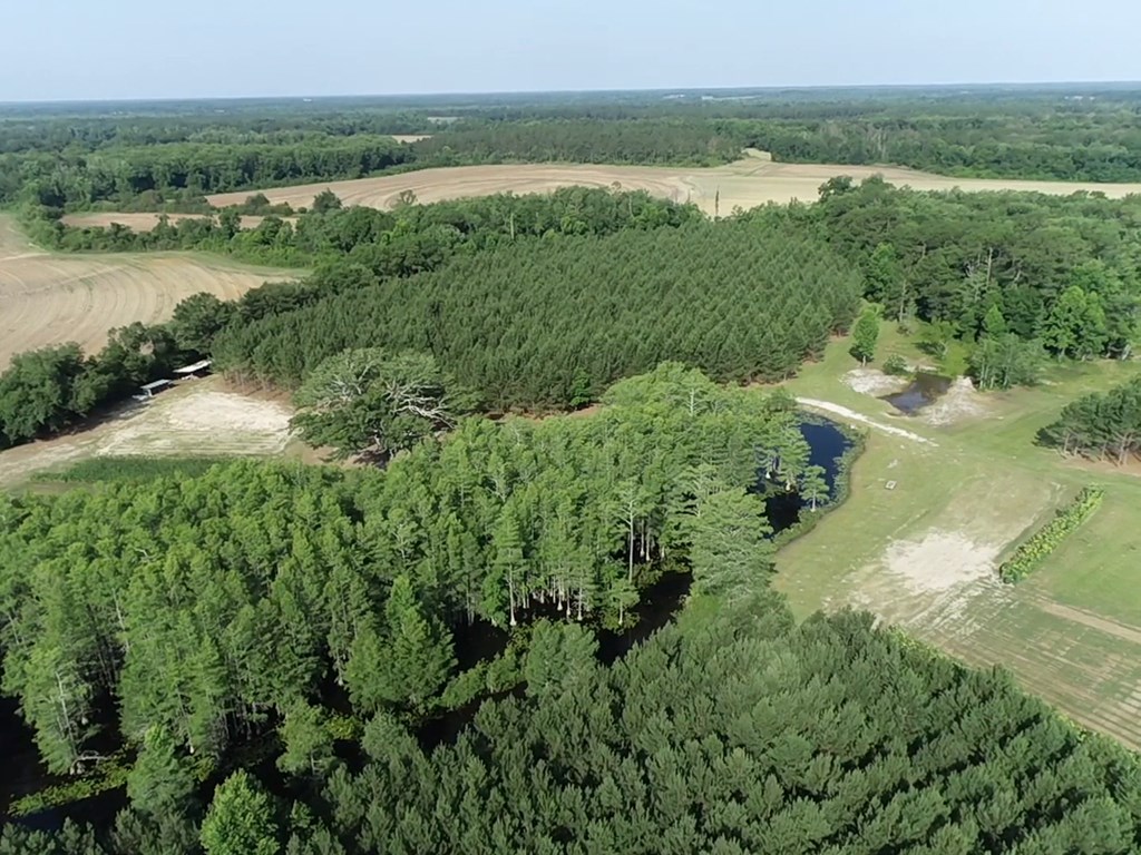 3876 D D Hodge Road Cottonwood, AL 36320 - Photo 38 of 48
