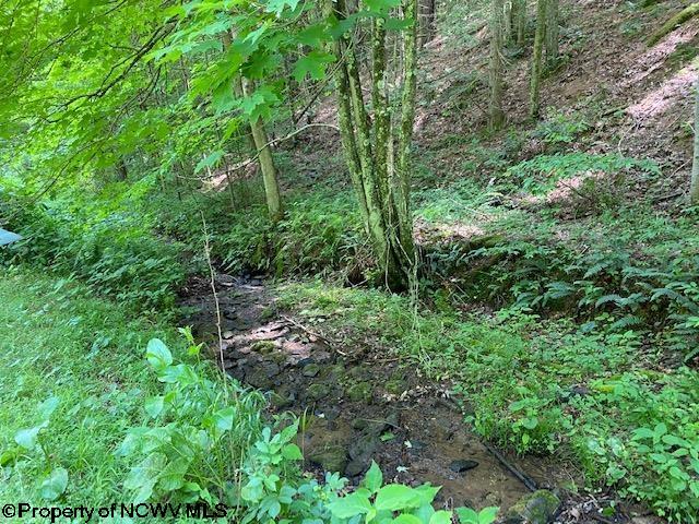 2320 Rinehart Road Wallace, WV 26448 - Photo 4 of 17 Gallery Image 4