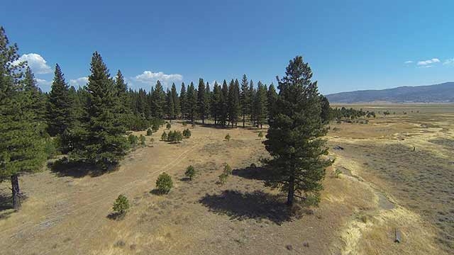 89 Highway 89 Calpine, CA 96124 - Photo 7 of 14 Gallery Image 7