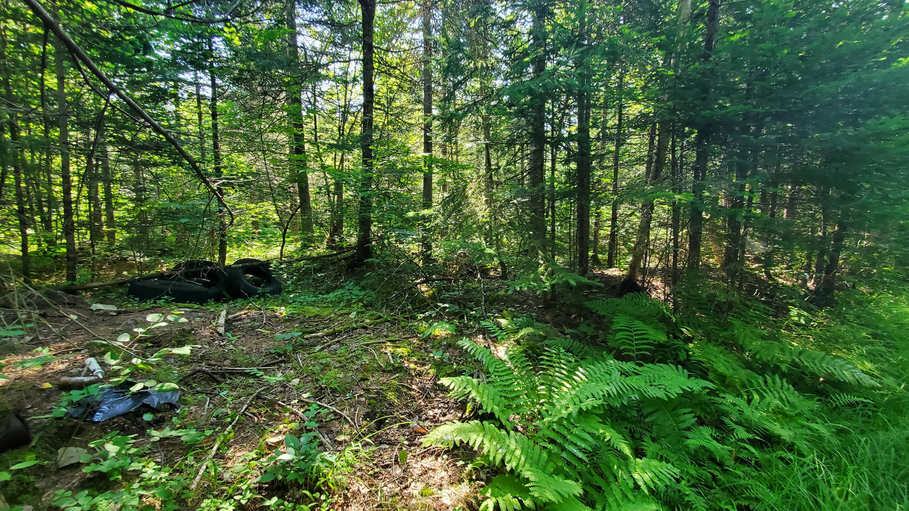 202 Lower Cross Road Hudson, ME 04449 - Photo 20 of 44 20240717_093922