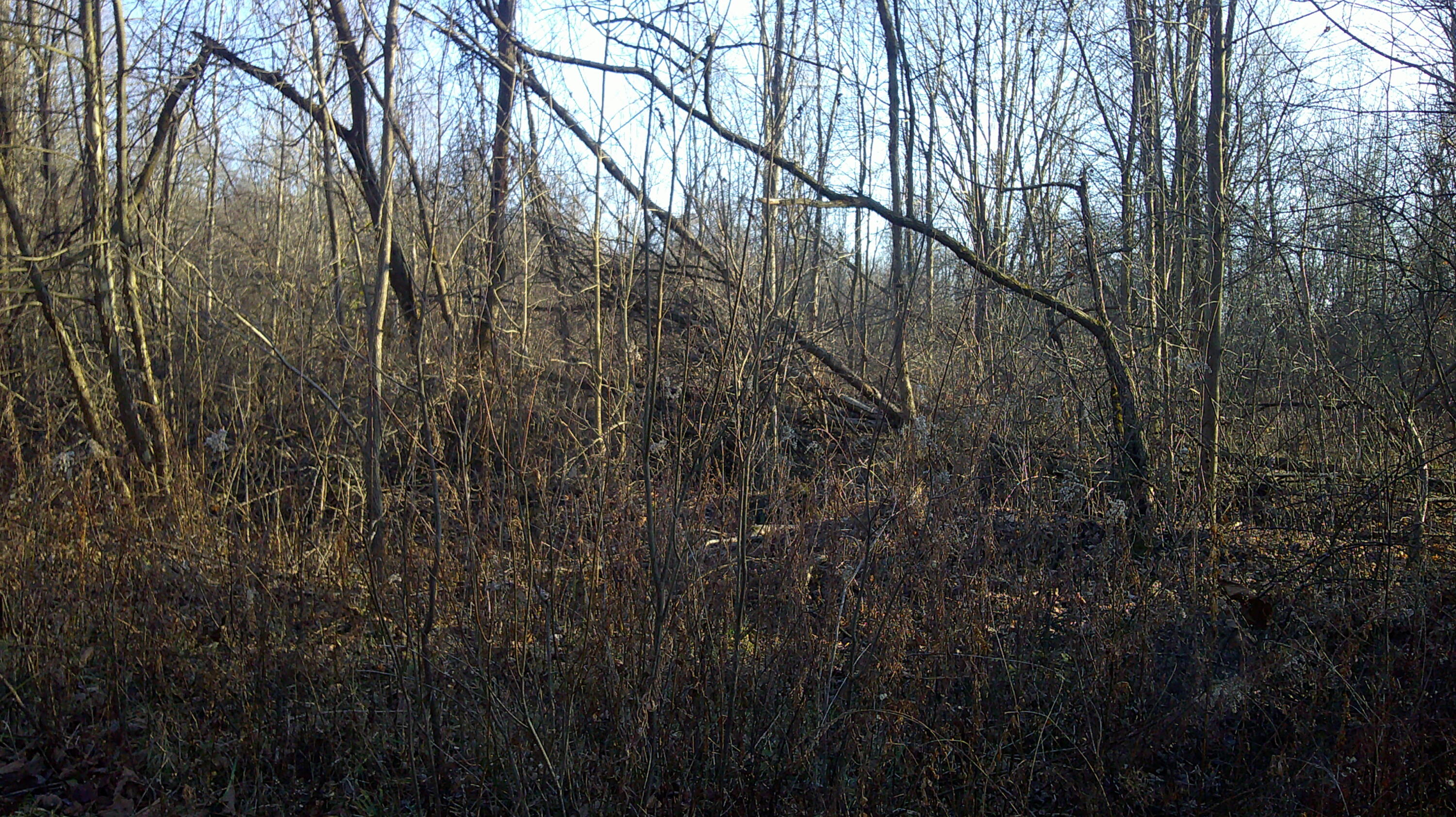 Stewart Road Cassopolis, MI 49031 - Photo 4 of 5 DSCF0074