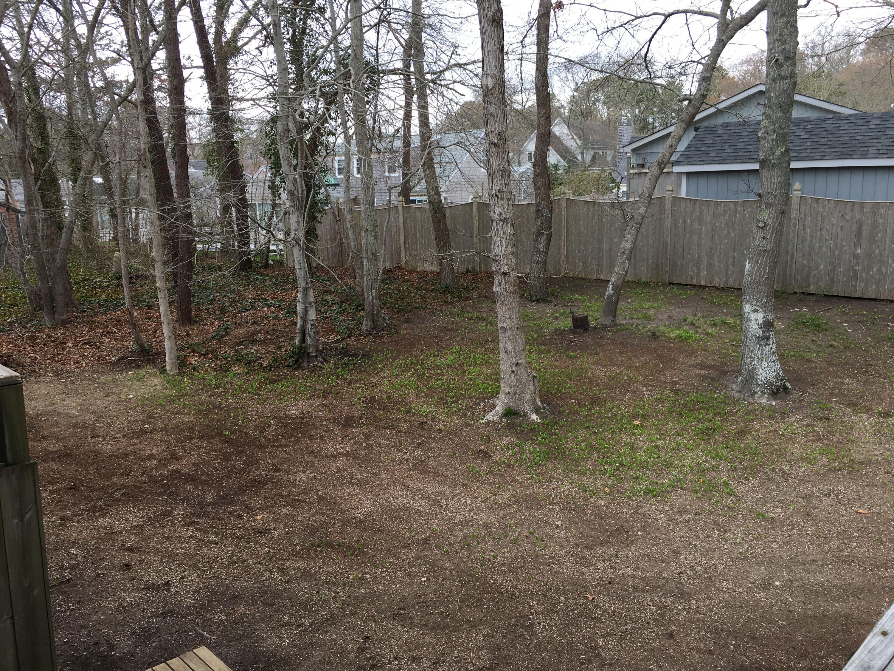 43 Uncle Percy's Road Mashpee, MA 02649 - Photo 10 of 20 IMG_6209