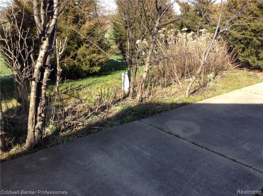 1840 South Summers Road Imlay City, MI 48444 - Photo 39 of 53 Side Garden-Patio2.JPG
