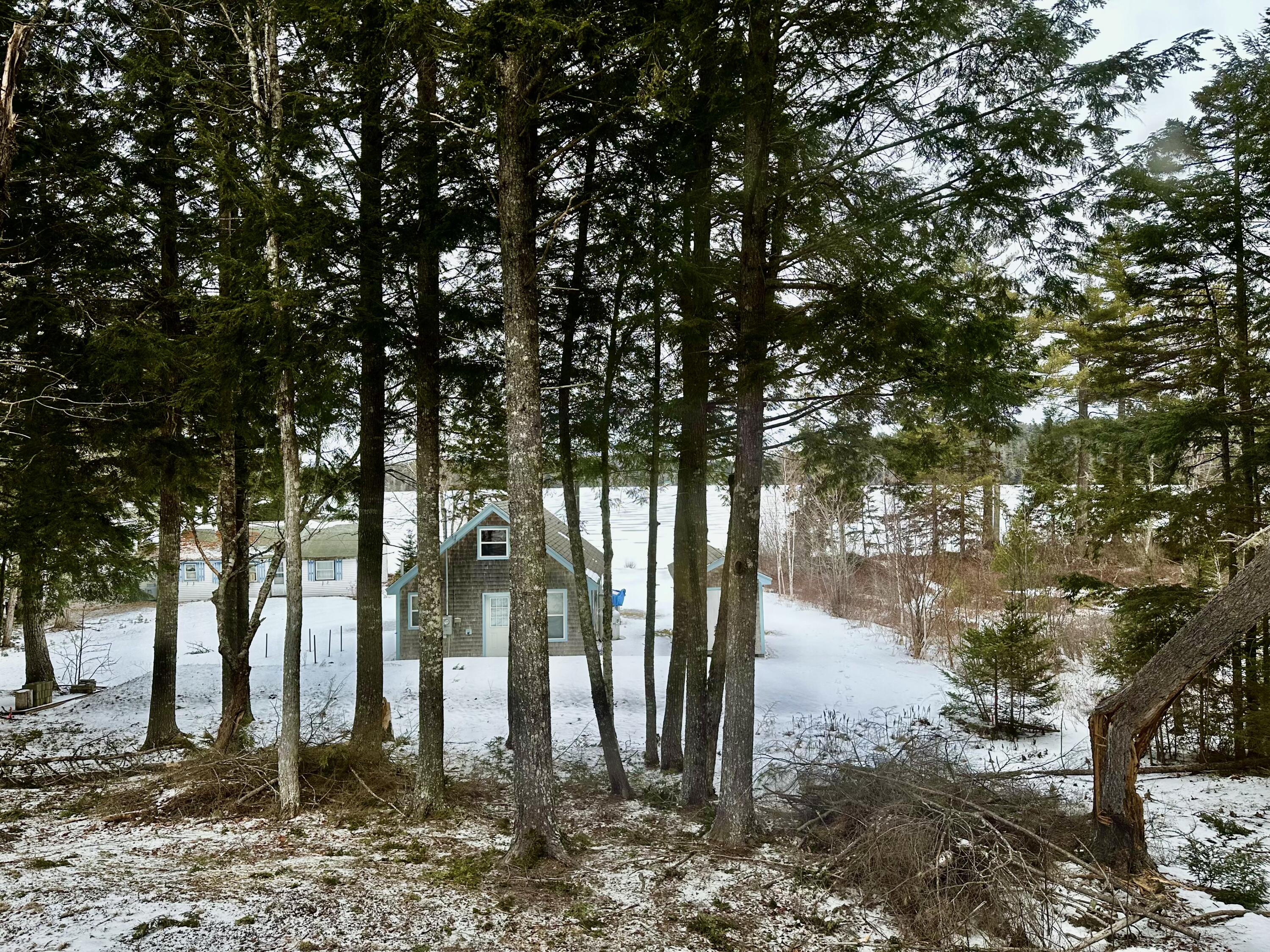 9 Birch Hill Road Northfield, ME 04654 - Photo 18 of 35 Facing water