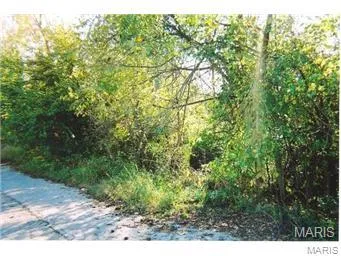 $14,900 | 54 Veterans Drive, De Soto, MO 63020