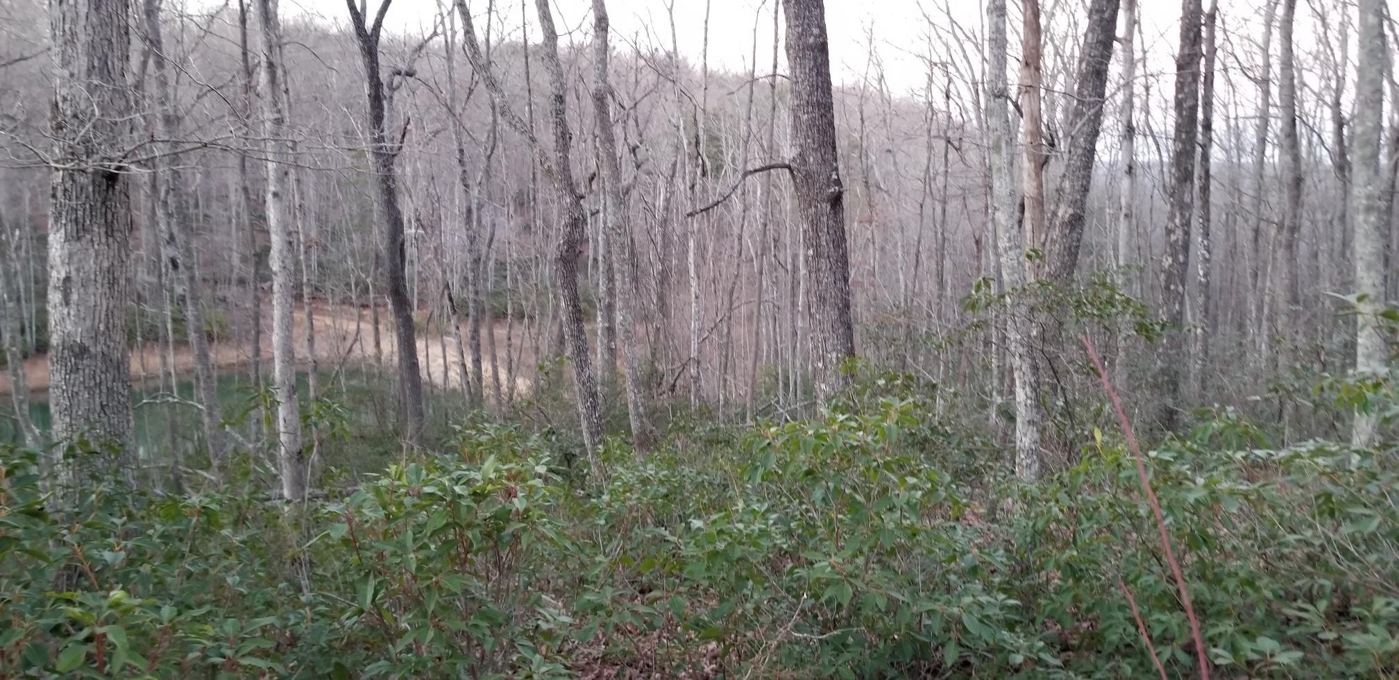 15 Eagle Rock Road Monteagle, TN 37356 - Photo 8 of 13 Gallery Image 8