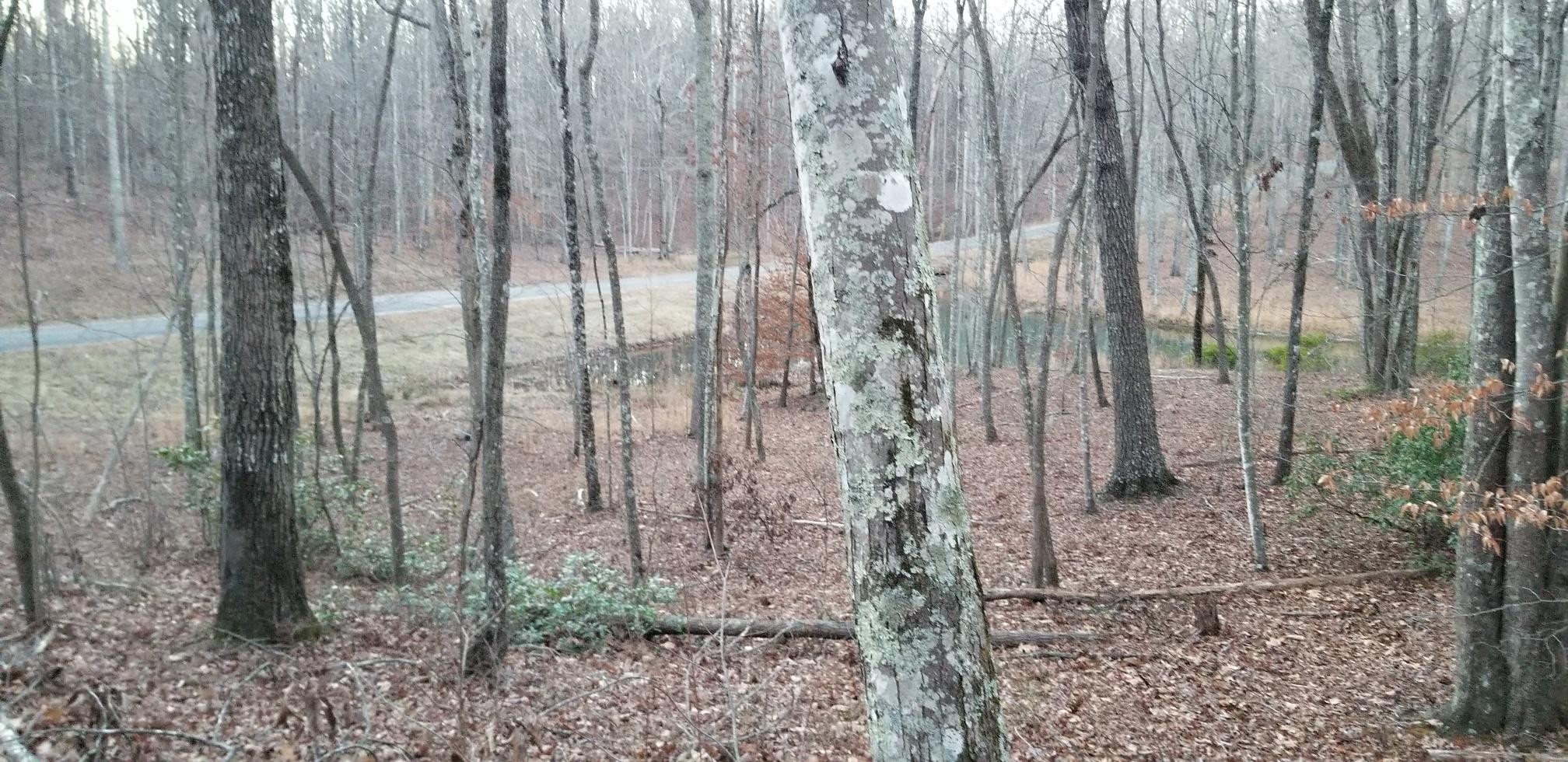 15 Eagle Rock Road Monteagle, TN 37356 - Photo 10 of 13 Gallery Image 10