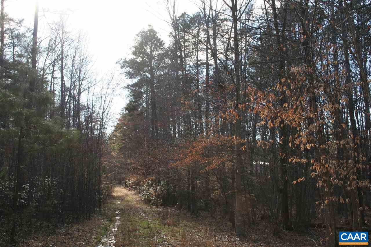 Tba Lot 2 Tba Route South Dillwyn, VA 23936 - Photo 6 of 39 Gallery Image 6