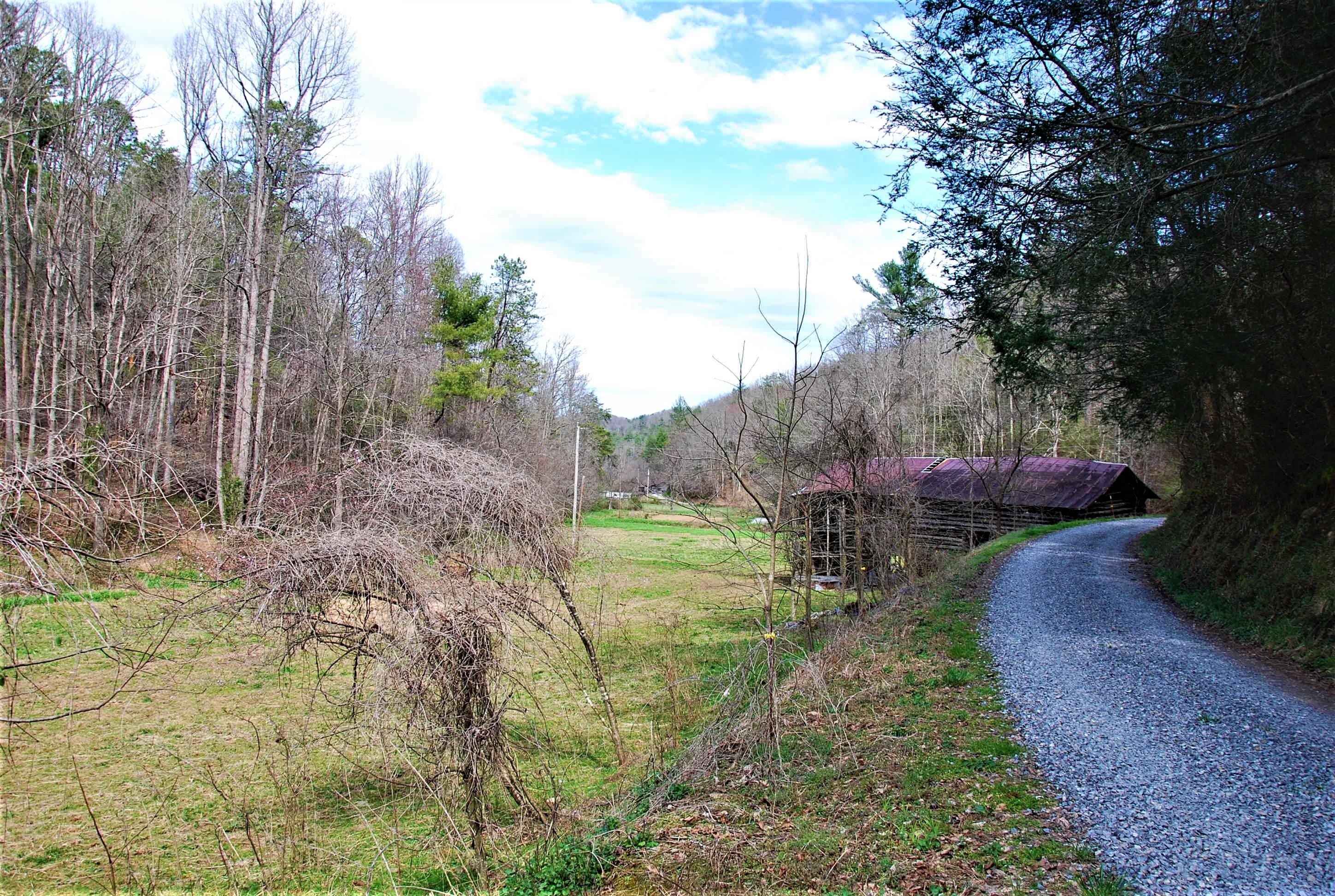 798 Bug Branch Road Del Rio, TN 37727 - Photo 2 of 16 DSC_0739