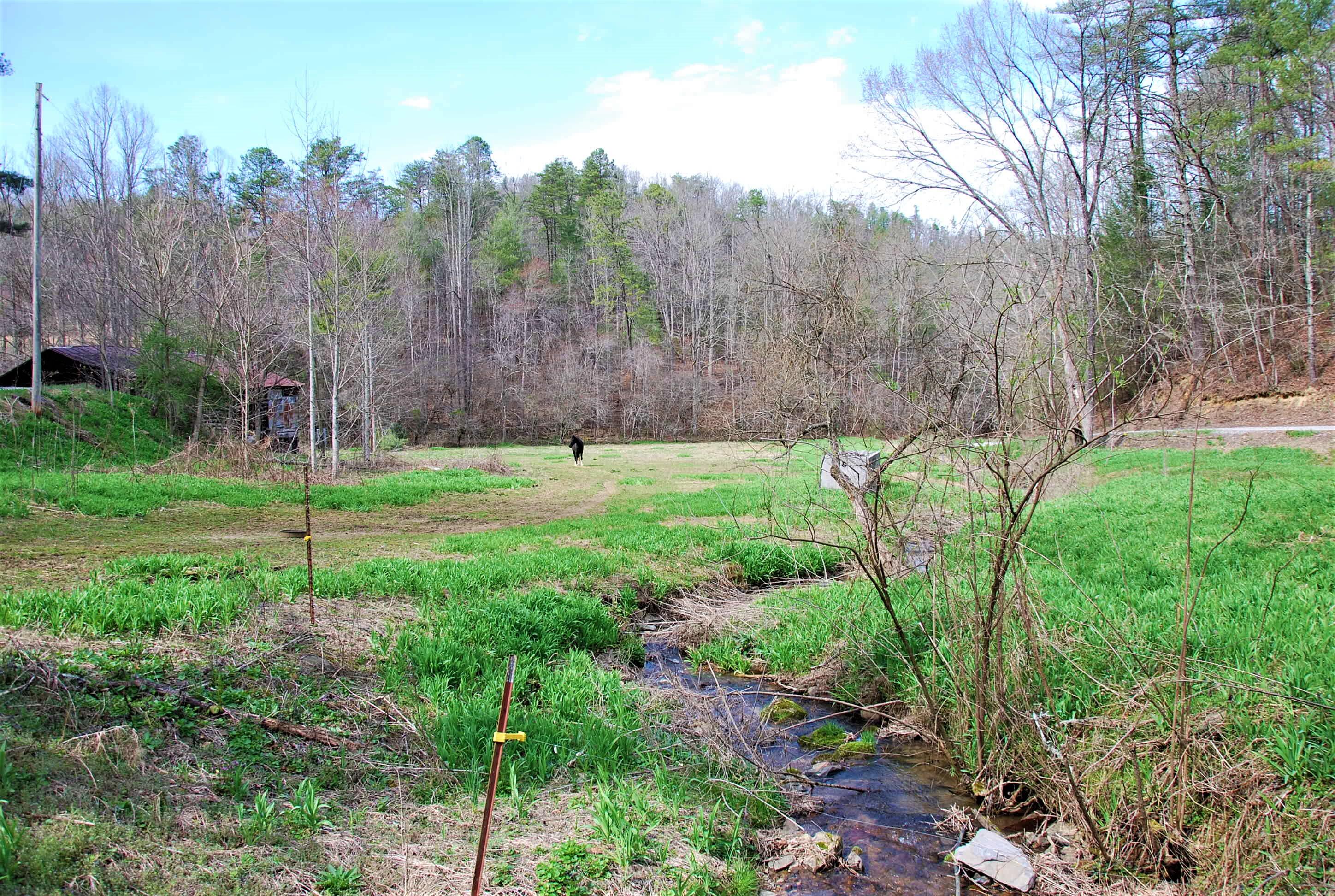 798 Bug Branch Road Del Rio, TN 37727 - Photo 11 of 16 DSC_0751