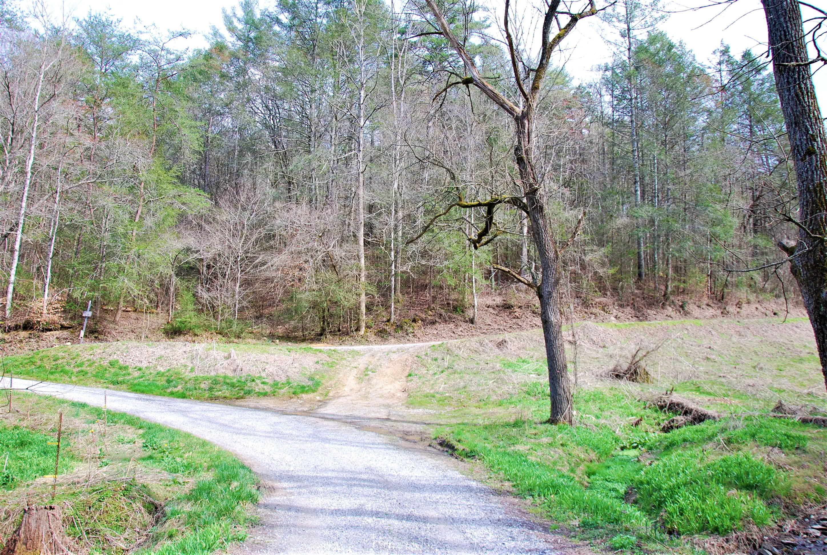 798 Bug Branch Road Del Rio, TN 37727 - Photo 12 of 16 DSC_0753