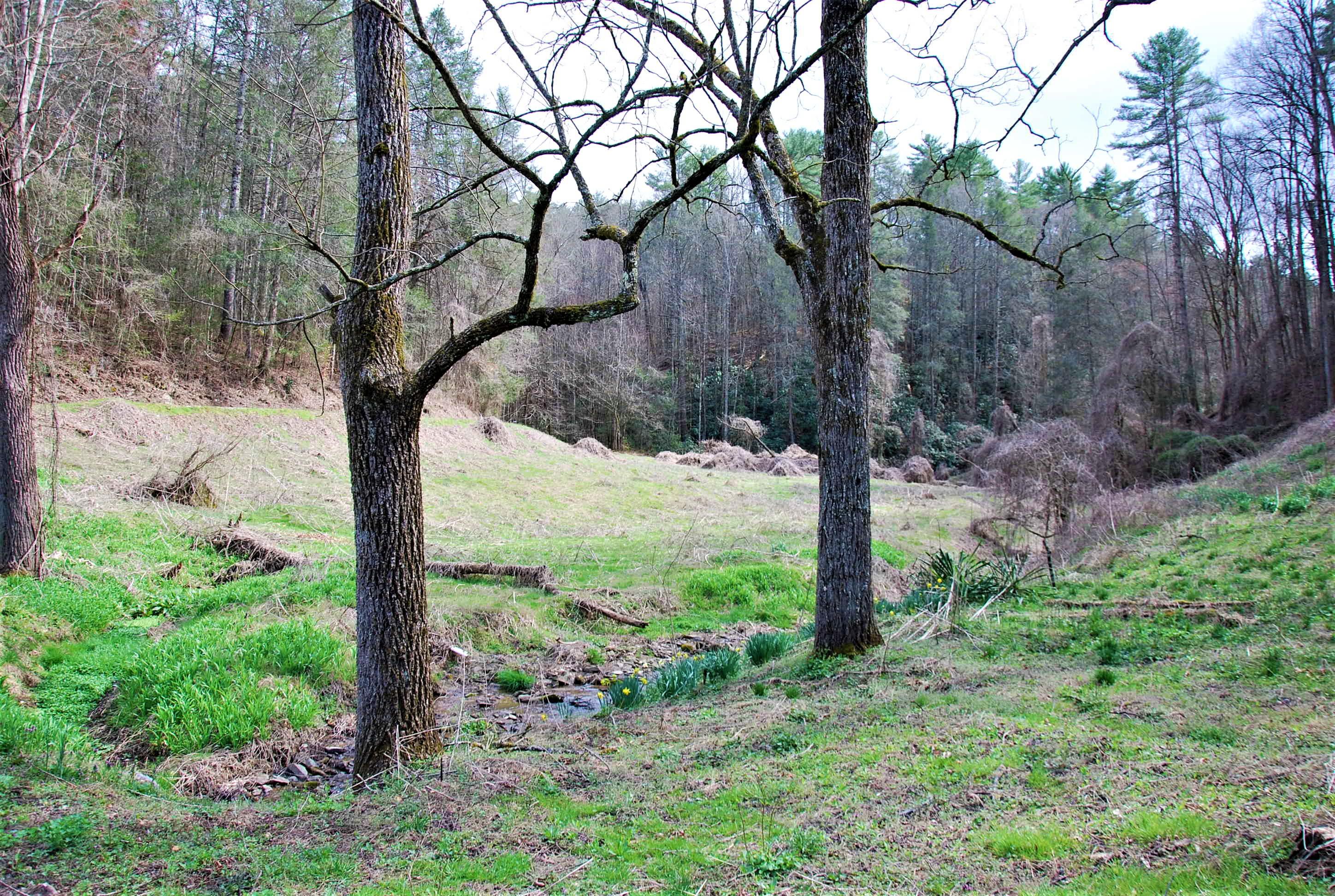 798 Bug Branch Road Del Rio, TN 37727 - Photo 13 of 16 DSC_0754