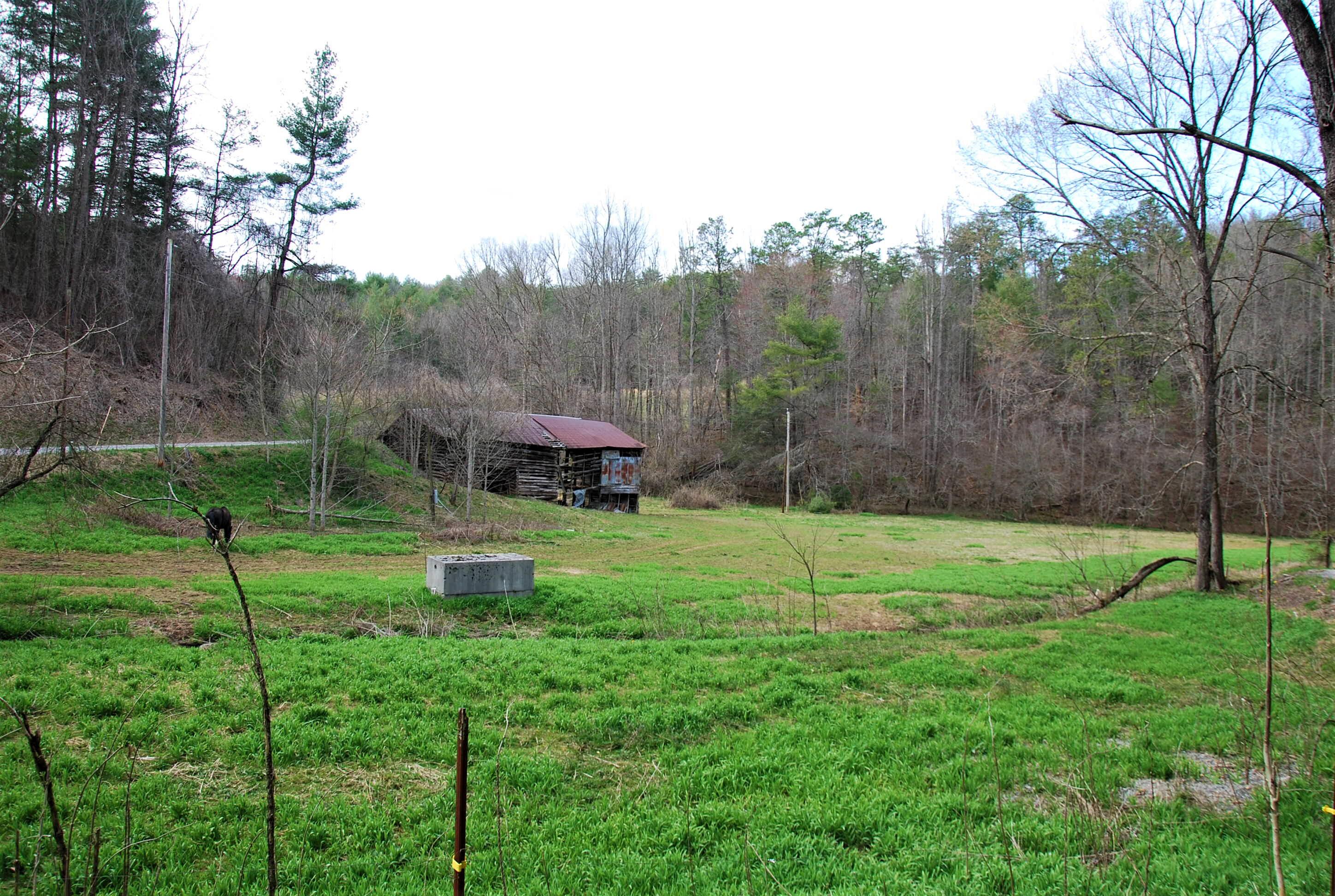 798 Bug Branch Road Del Rio, TN 37727 - Photo 14 of 16 DSC_0755