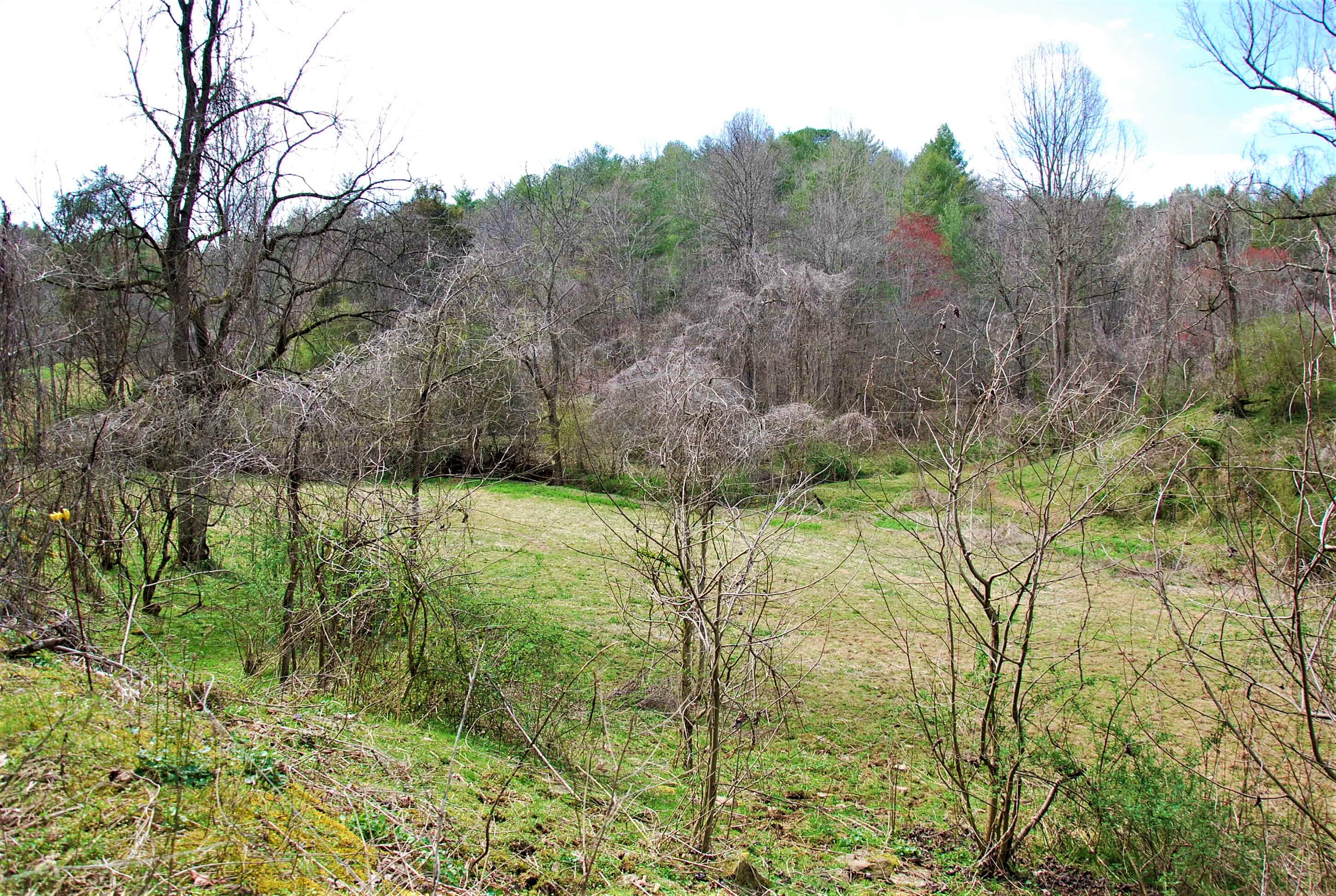 798 Bug Branch Road Del Rio, TN 37727 - Photo 3 of 16 DSC_0740