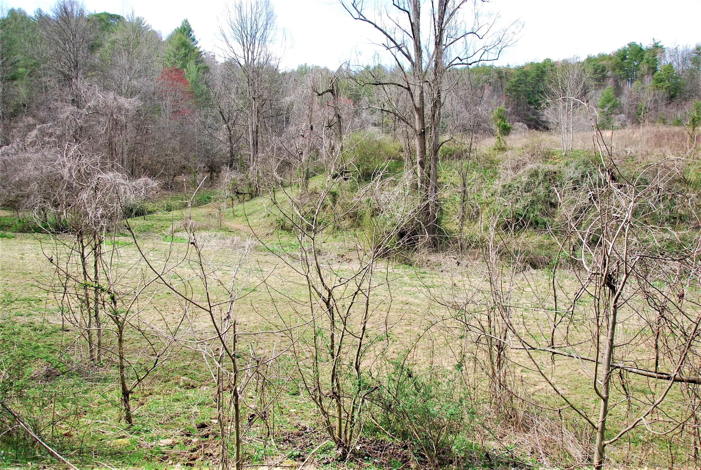 798 Bug Branch Road Del Rio, TN 37727 - Photo 4 of 16 DSC_0742
