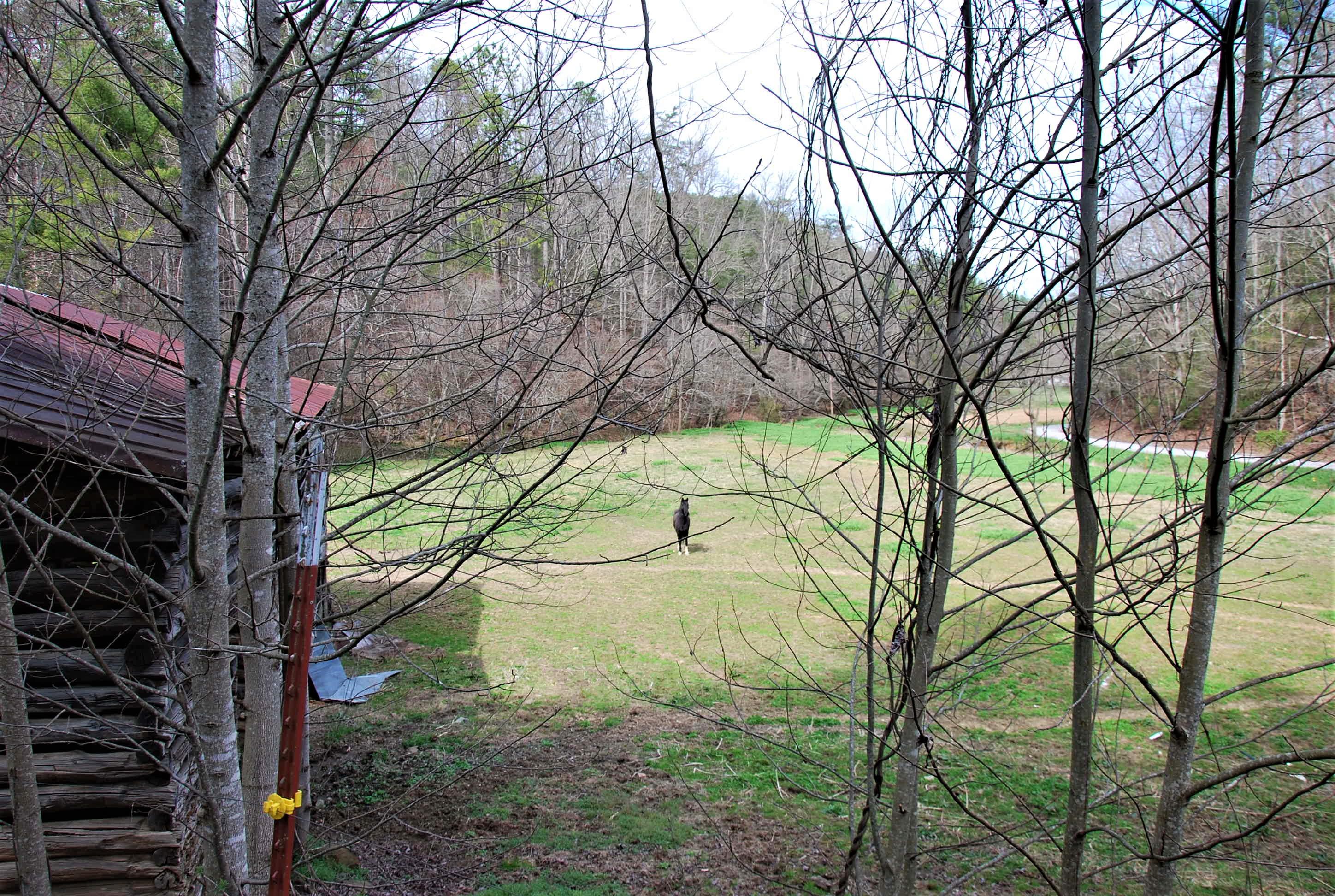 798 Bug Branch Road Del Rio, TN 37727 - Photo 5 of 16 DSC_0745