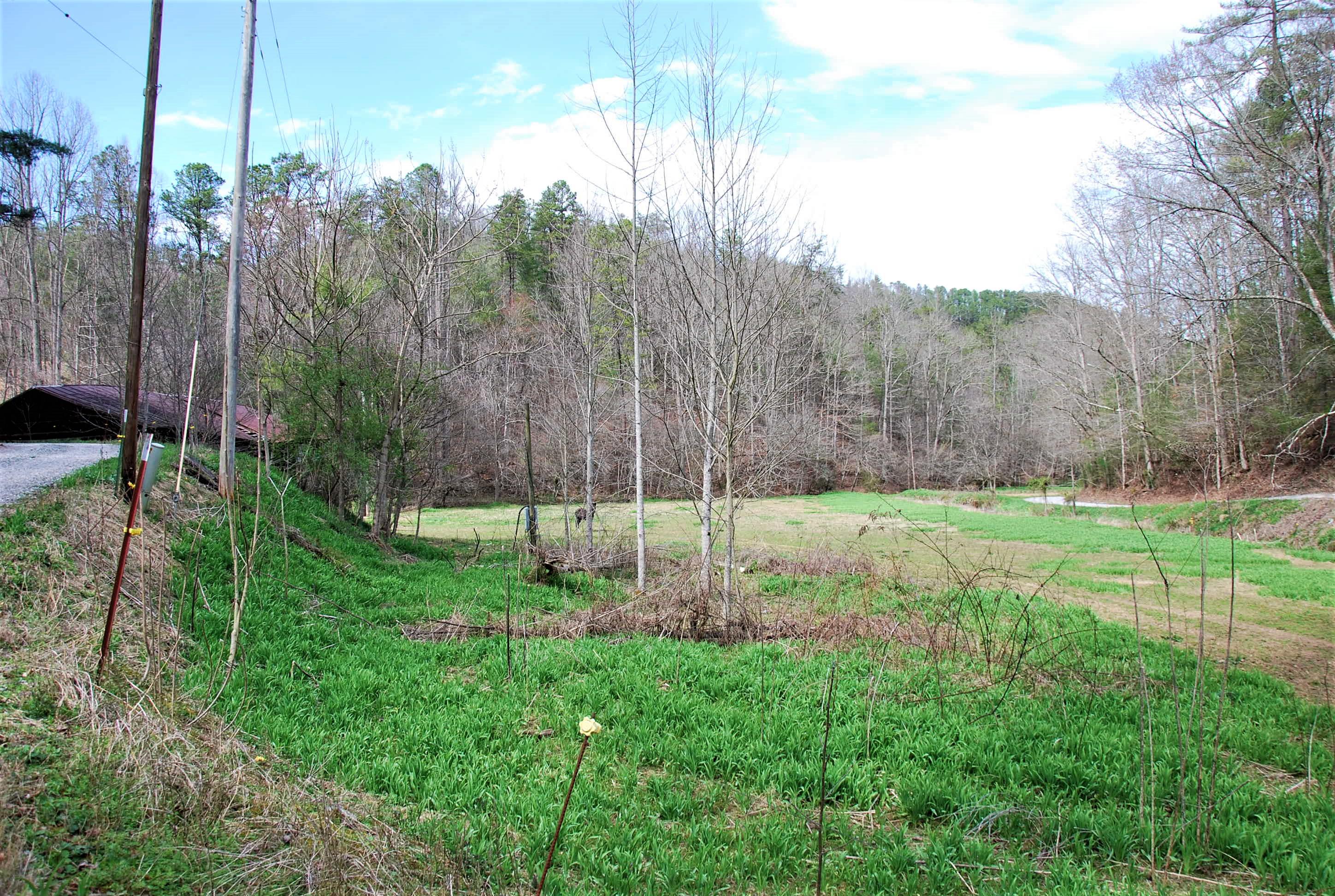 798 Bug Branch Road Del Rio, TN 37727 - Photo 6 of 16 DSC_0746