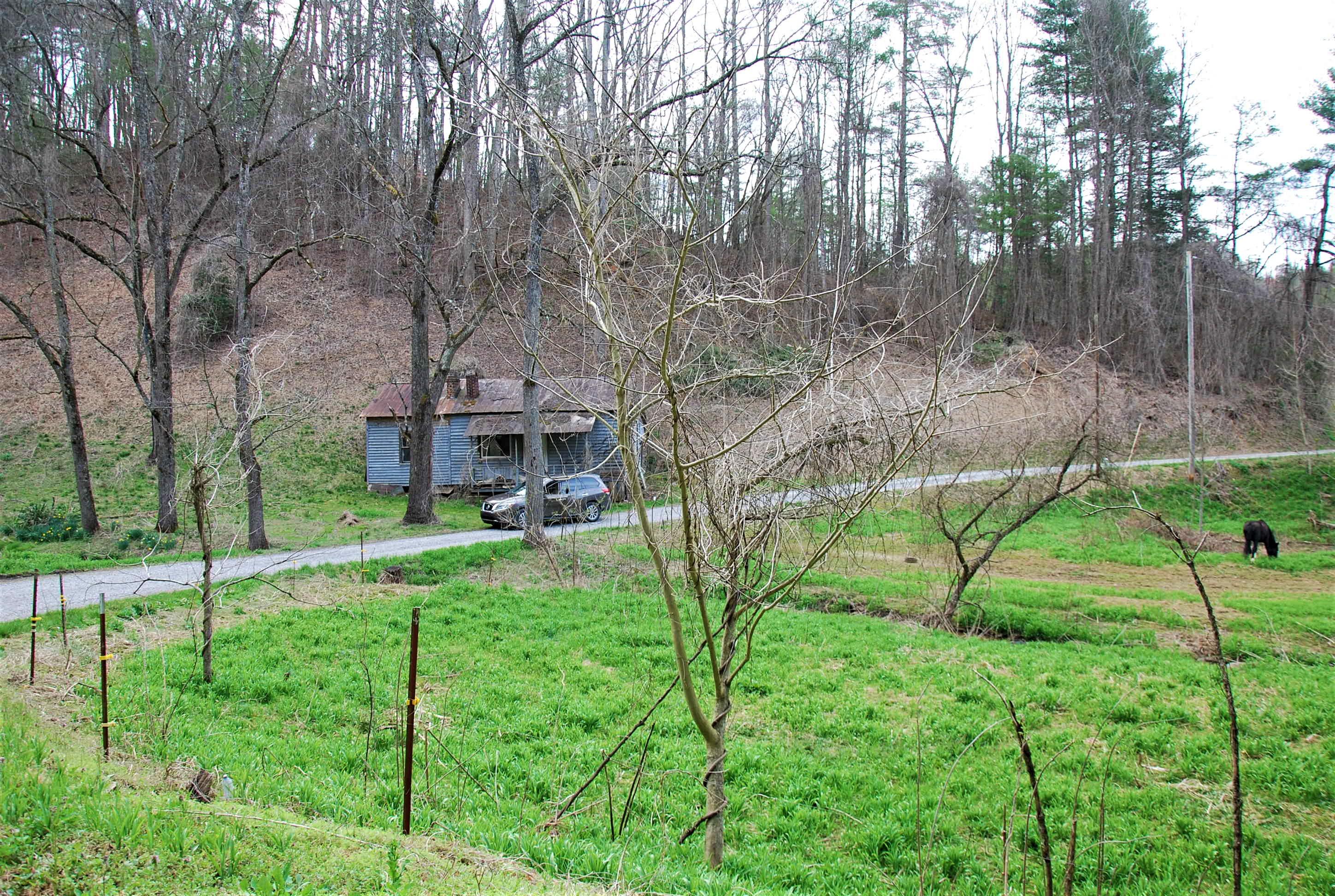 798 Bug Branch Road Del Rio, TN 37727 - Photo 10 of 16 DSC_0757