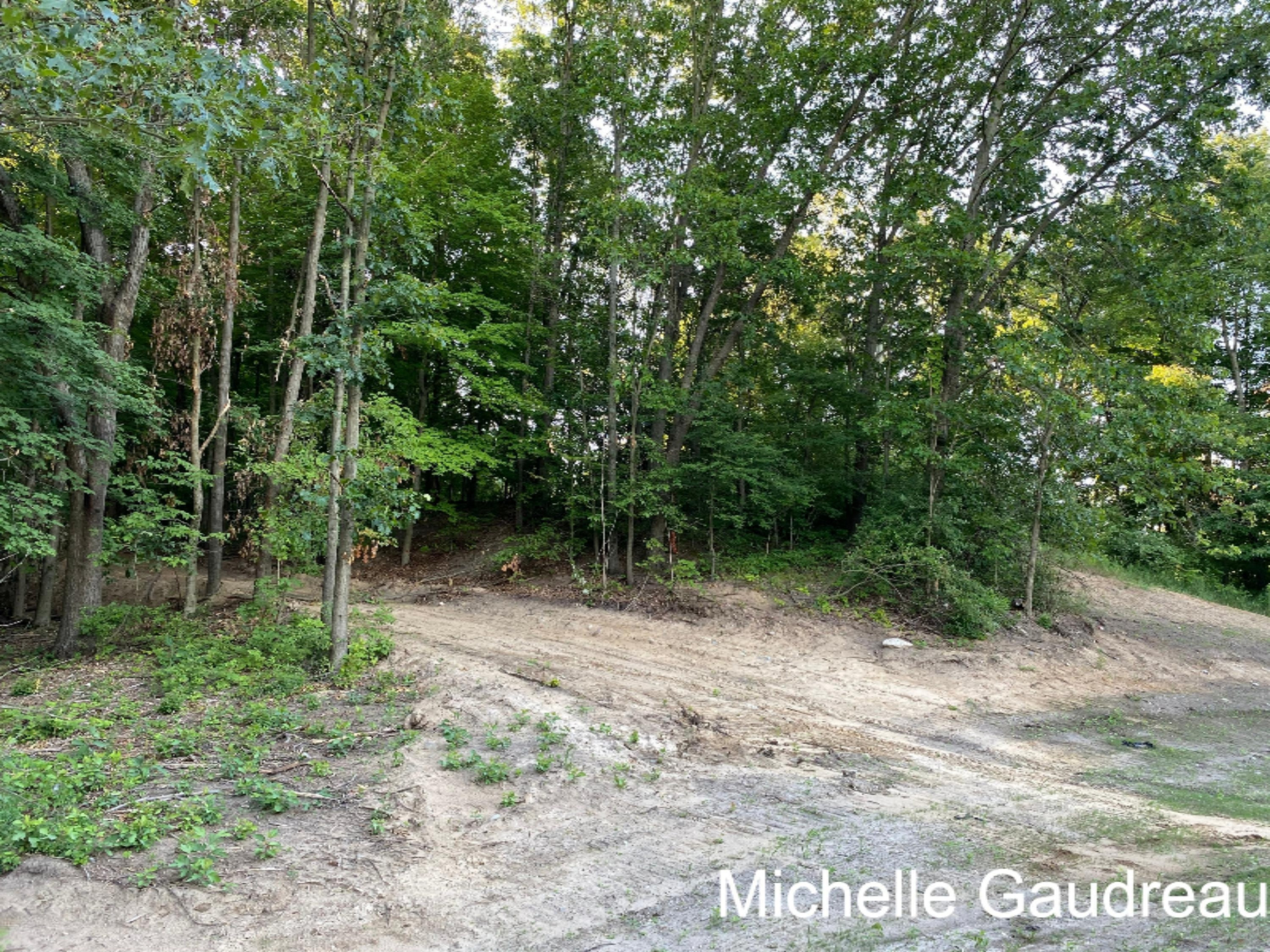 North Ridge, Unit PARCEL 9 Middleville, MI 49333 - Photo 2 of 4 Parcel 9.2