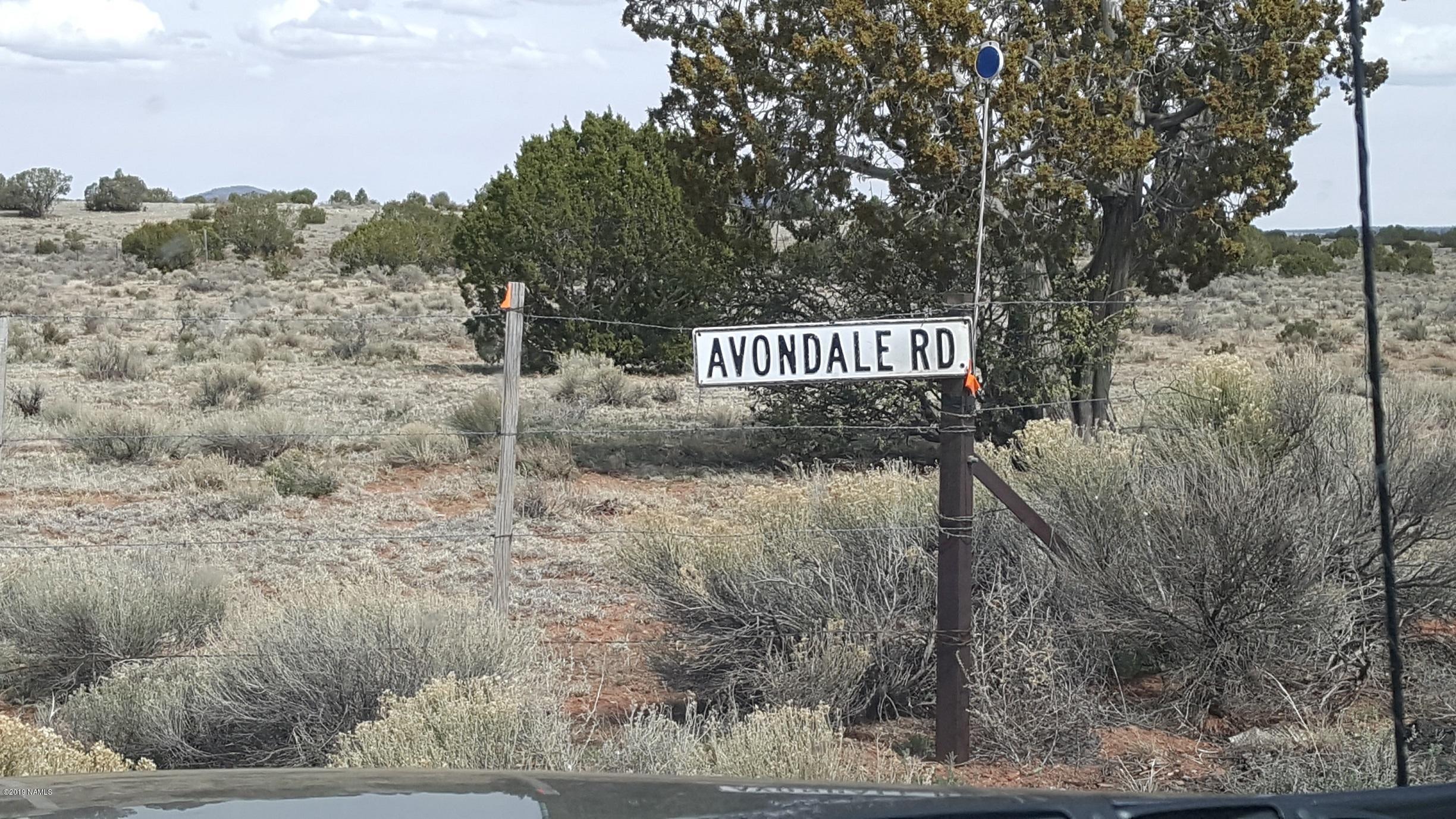 1764 Avondale Road Williams, AZ 86046 - Photo 4 of 11 avondale rd