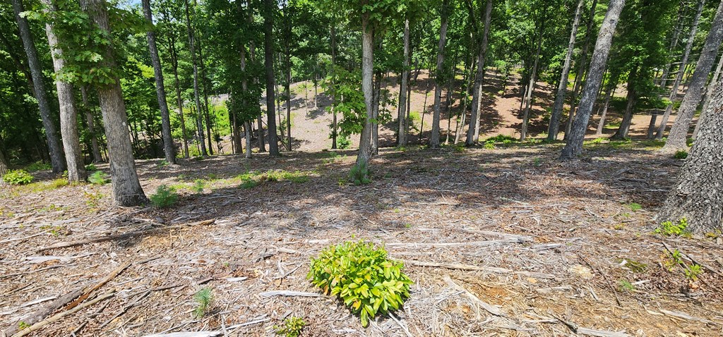 106 Split Creek Road Morganton, GA 30560 - Photo 6 of 10 Gallery Image 6