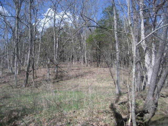 1234 North Rays Fork Road Sadieville, KY 40370 - Photo 5 of 16 Photo 5