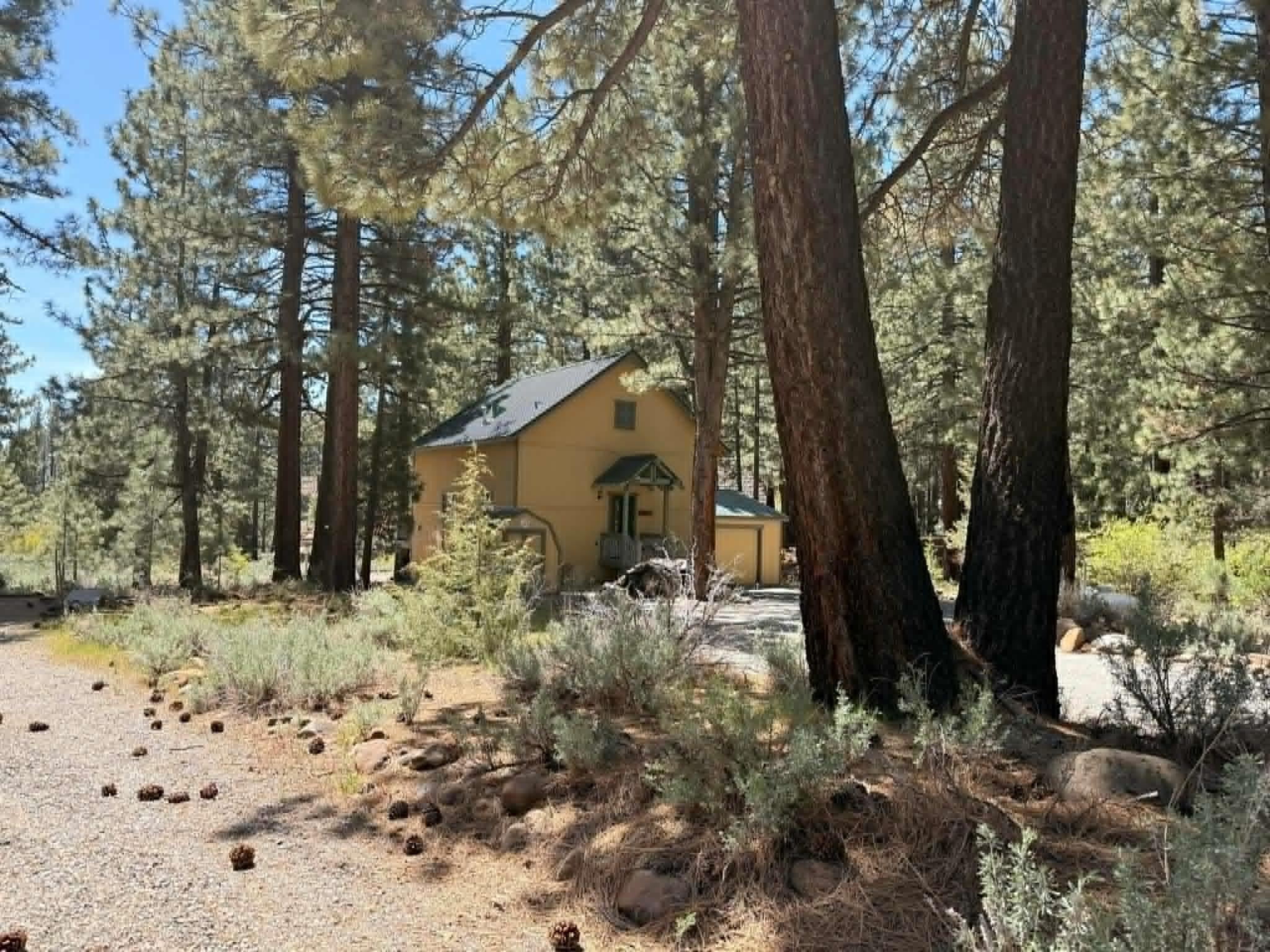 93 Juniper Road Beckwourth, CA 96129 - Photo 33 of 35 a backyard of a house with lots of green space