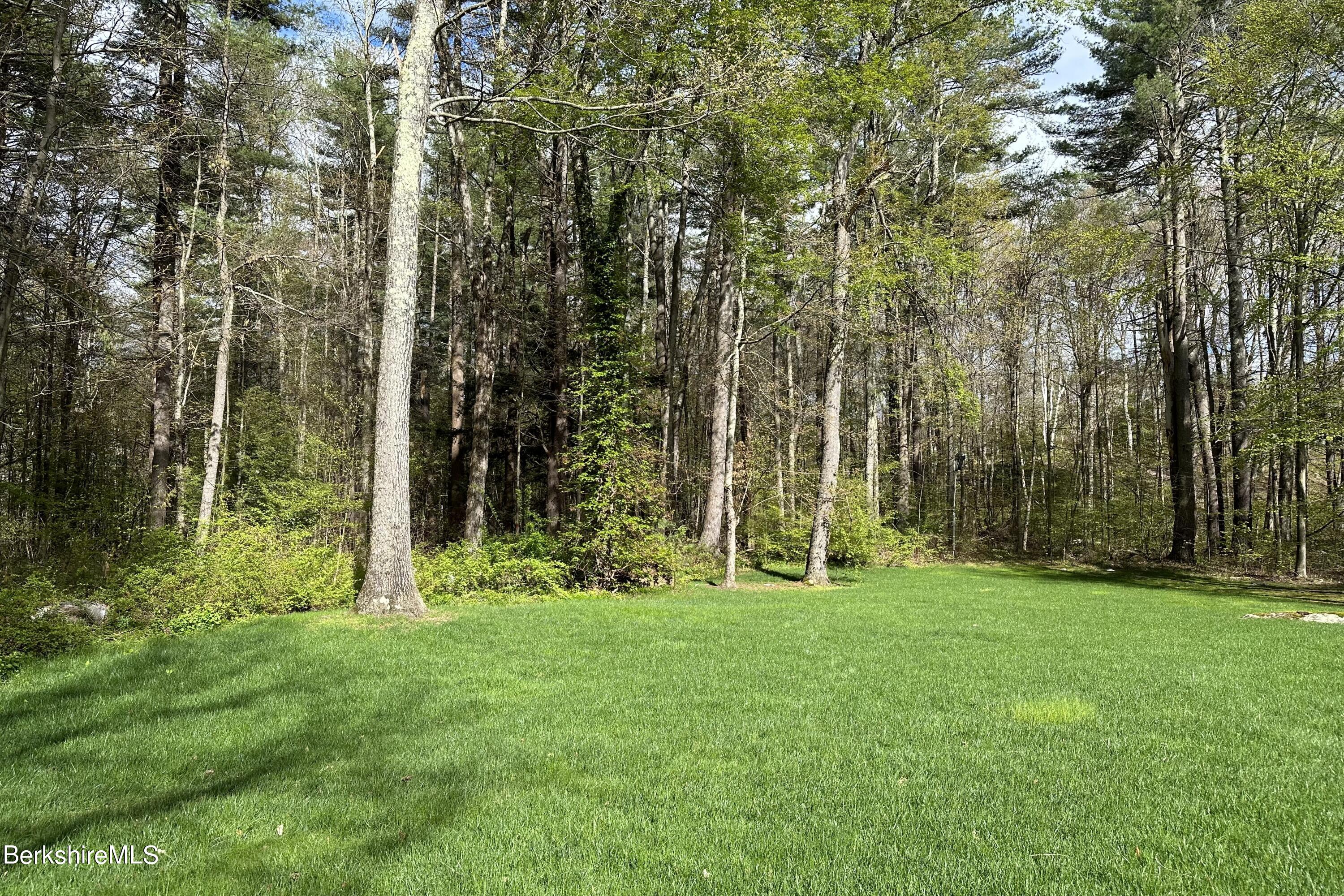 22 Monument Valley Road Great Barrington, MA 01230 - Photo 28 of 31 BACK YARD