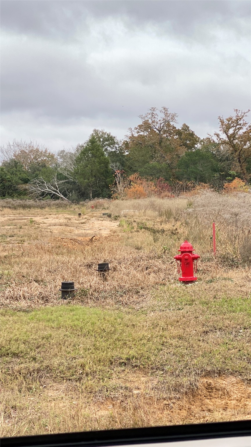 0 25th Street Hempstead, TX 77445 - Photo 2 of 8