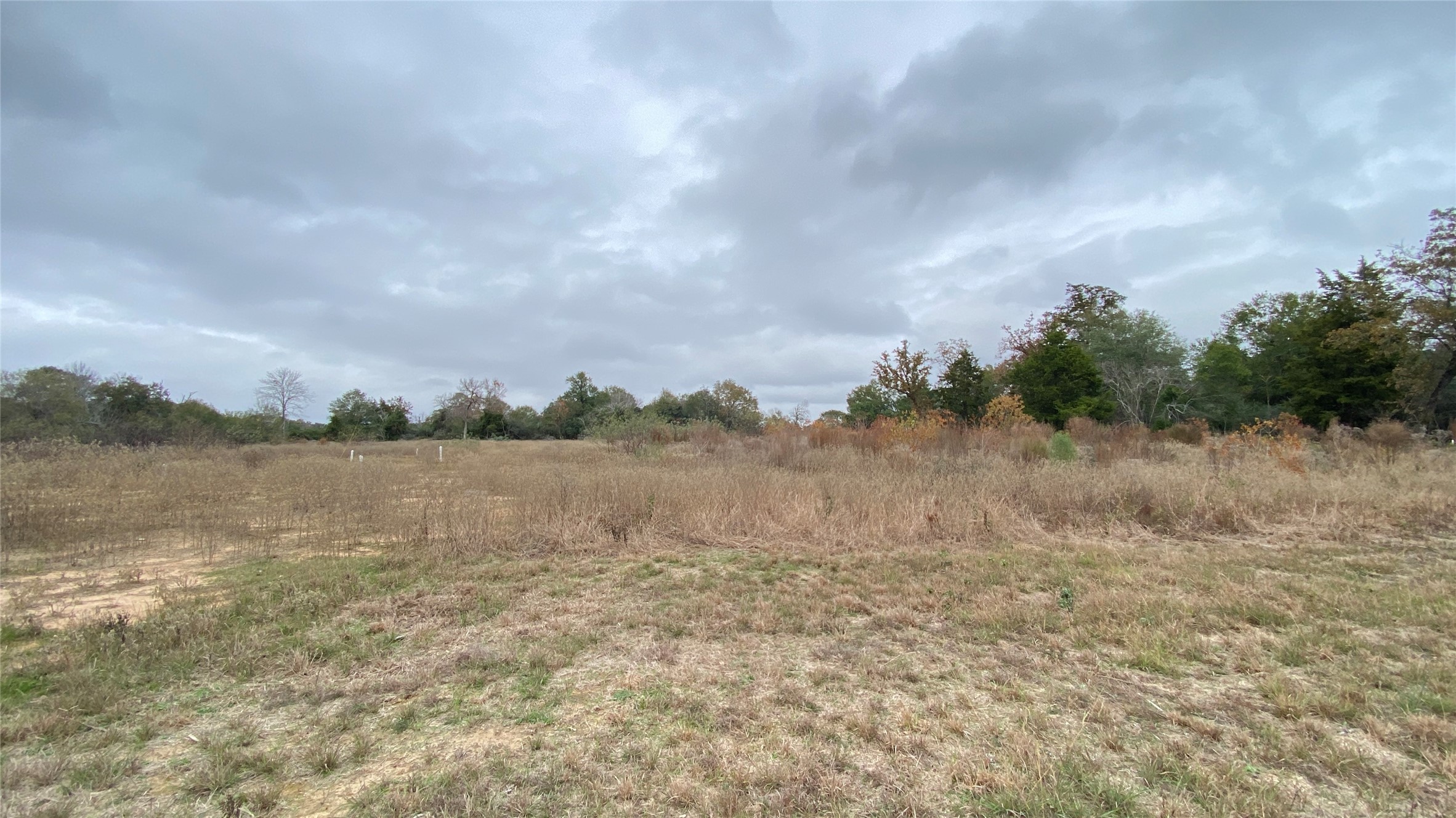 0 25th Street Hempstead, TX 77445 - Photo 3 of 8