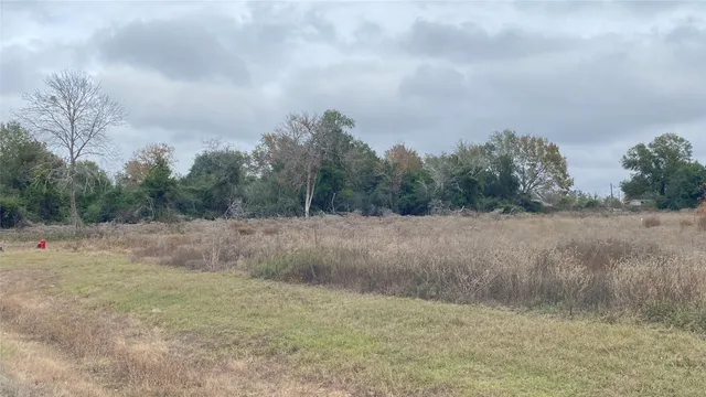 a view of a dry yard