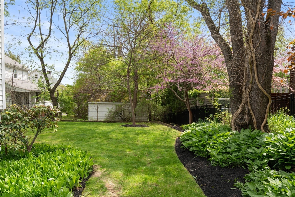 32 Marcia Road Watertown, MA 02472 - Photo 22 of 28 Gallery Image 22