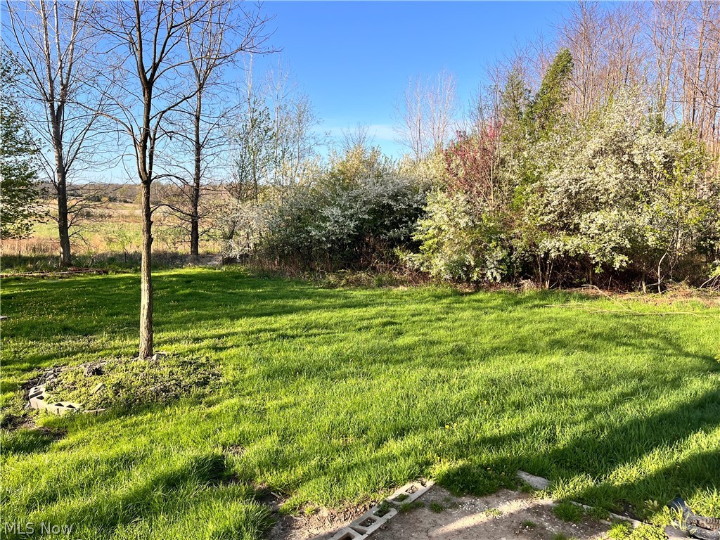 5340 South Ridge Road Madison, OH 44057 - Photo 11 of 12