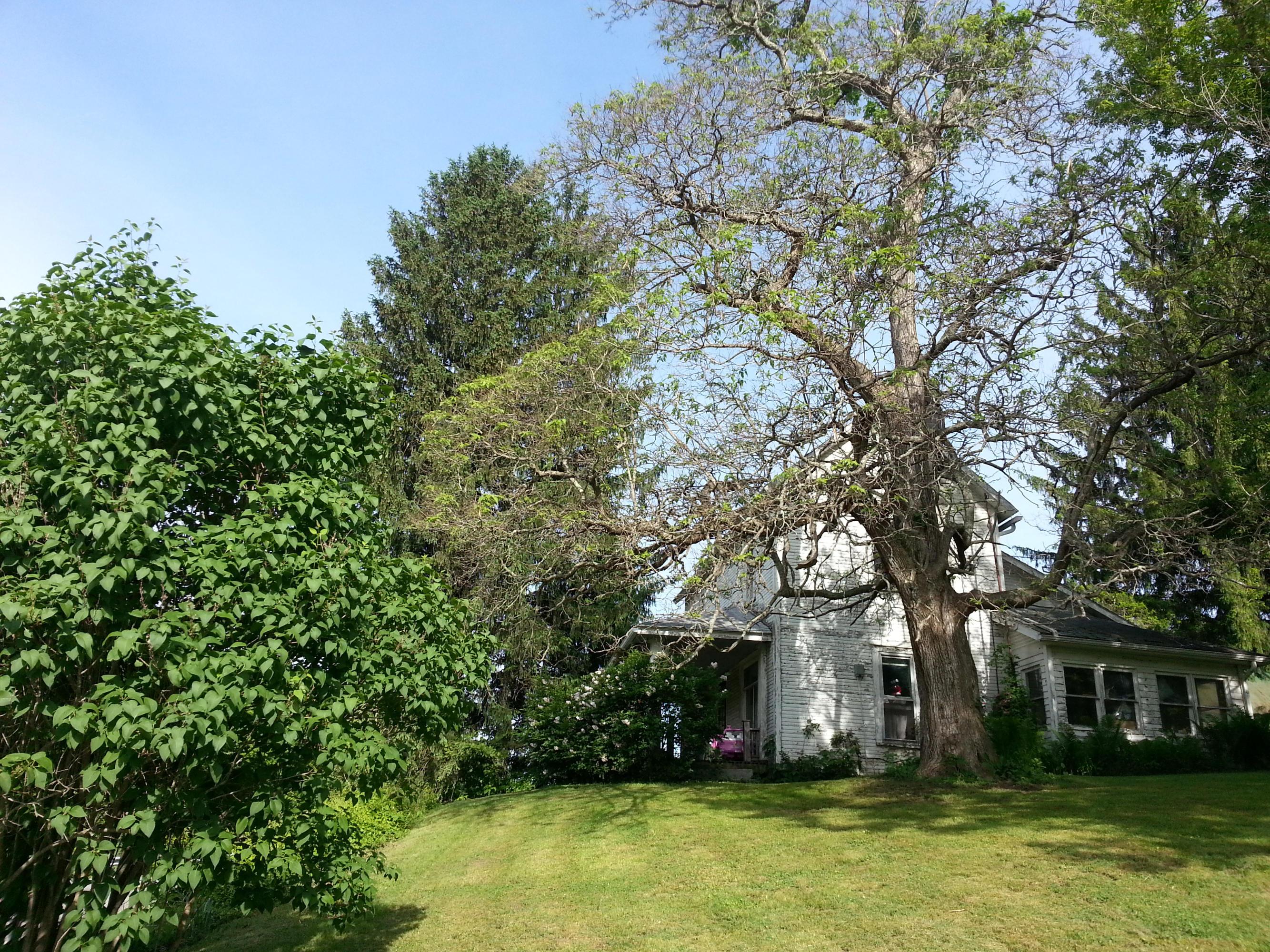 9862 State Rte 41 Bainbridge, OH 45612 - Photo 11 of 27