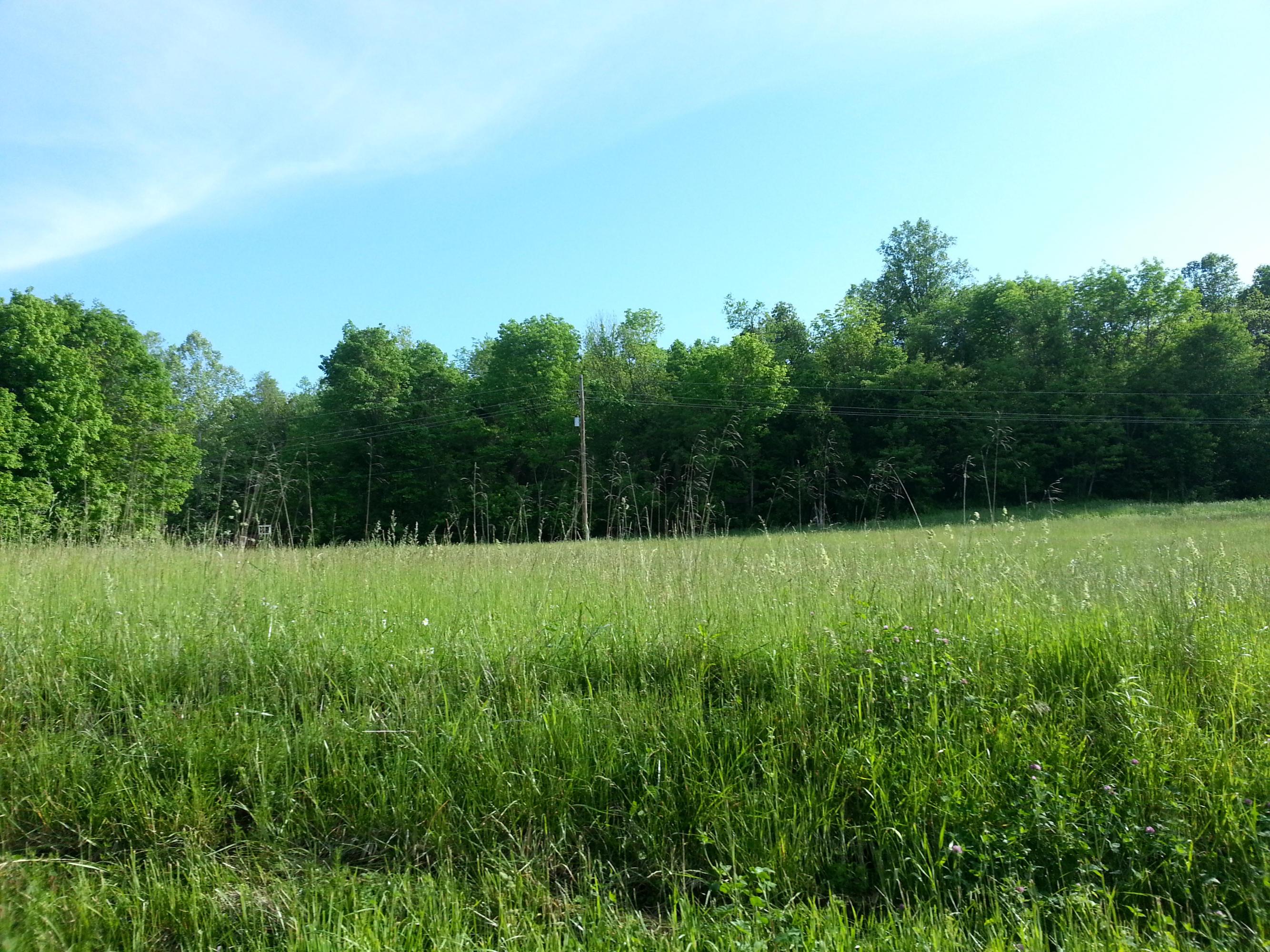 9862 State Rte 41 Bainbridge, OH 45612 - Photo 12 of 27