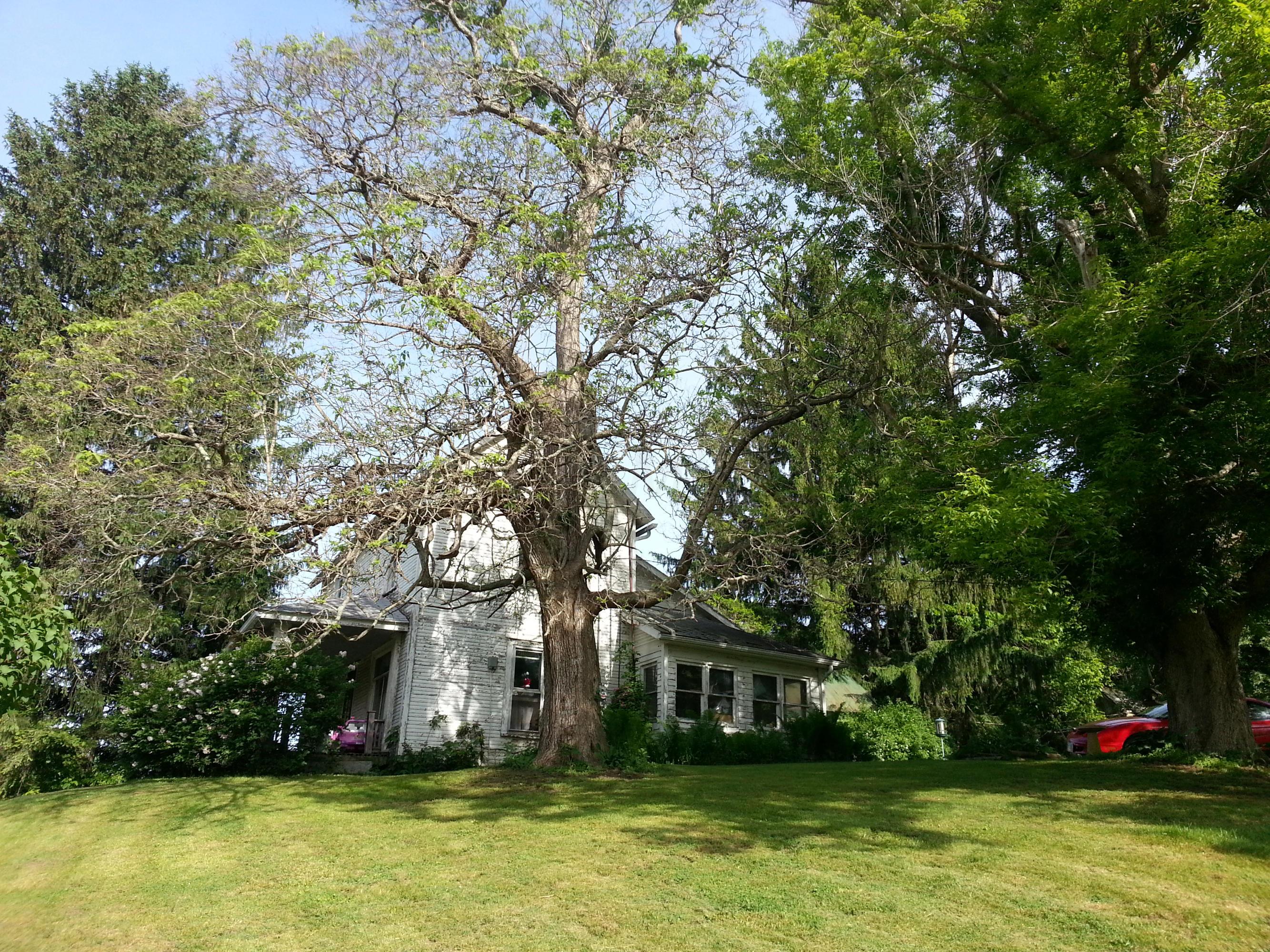 9862 State Rte 41 Bainbridge, OH 45612 - Photo 2 of 27