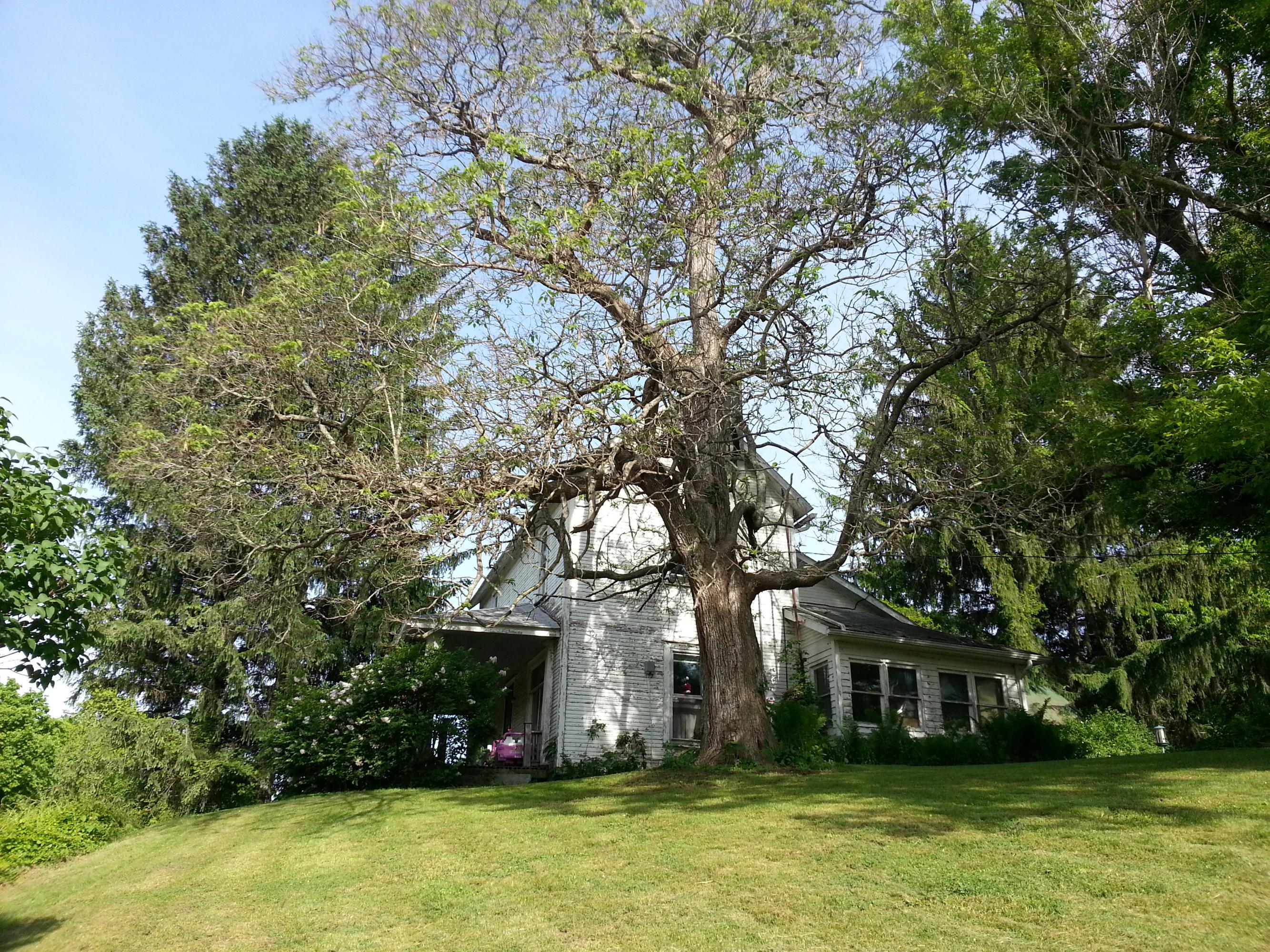 9862 State Rte 41 Bainbridge, OH 45612 - Photo 7 of 27