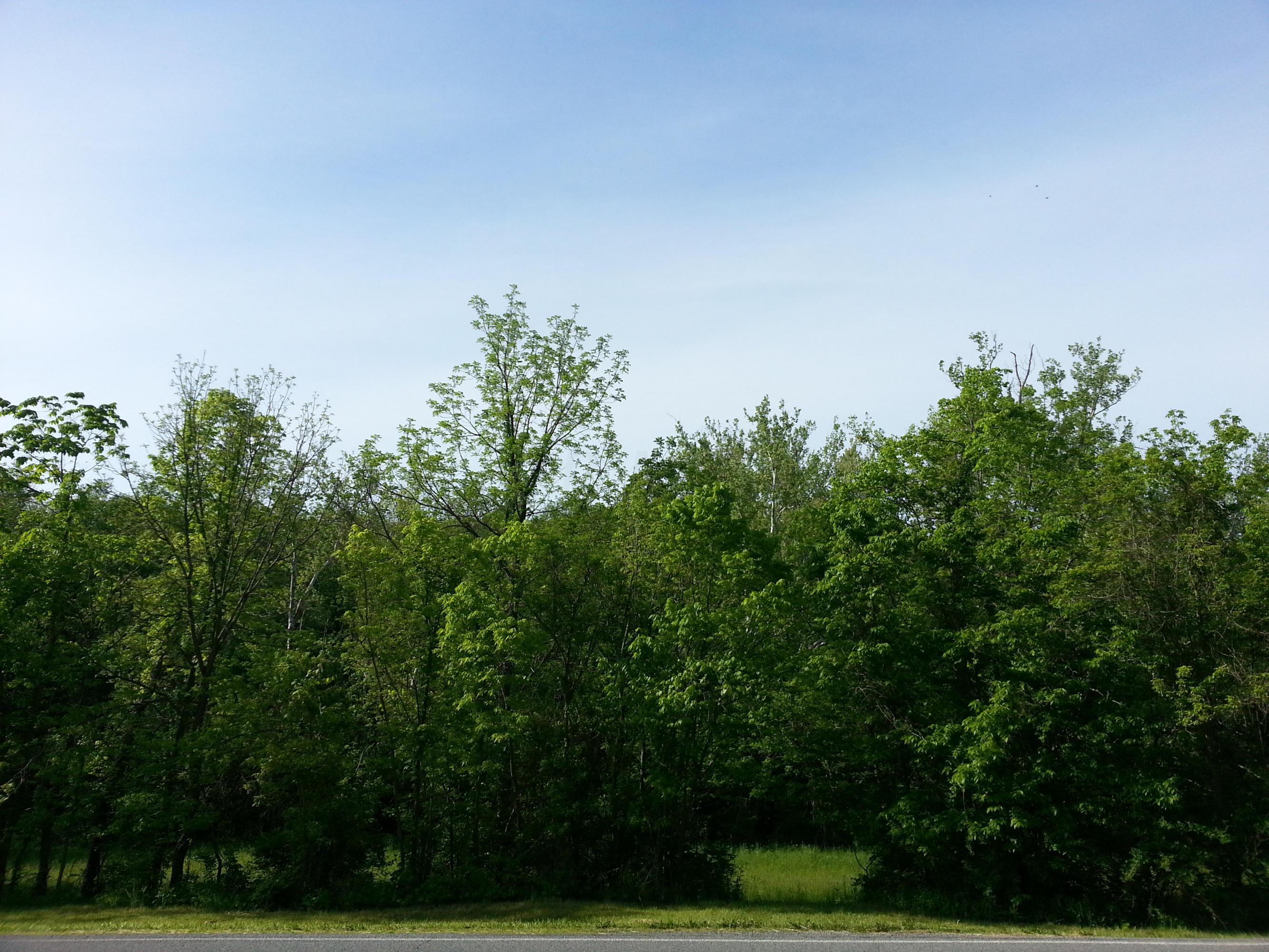 9862 State Rte 41 Bainbridge, OH 45612 - Photo 8 of 27