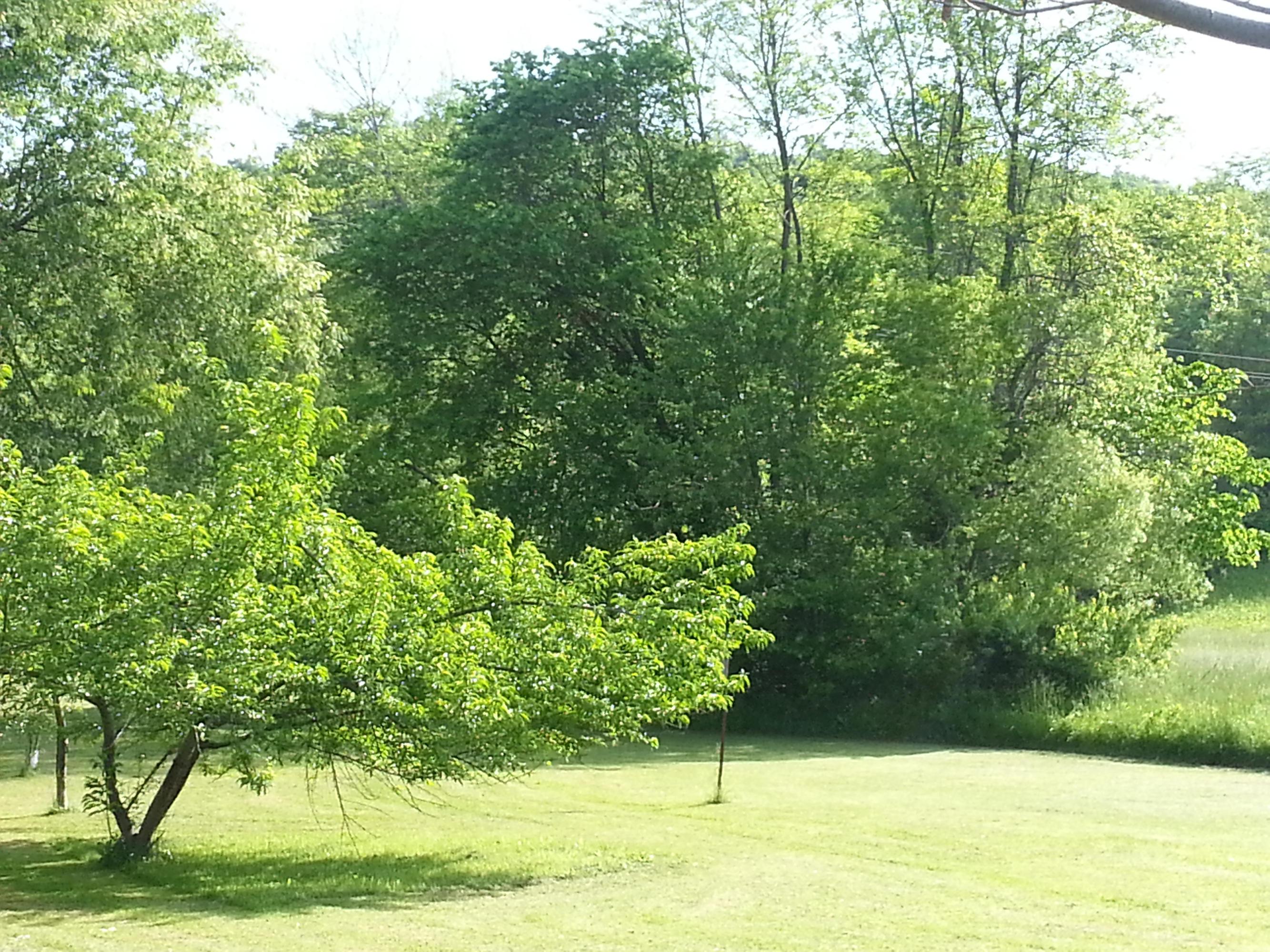 9862 State Rte 41 Bainbridge, OH 45612 - Photo 10 of 27