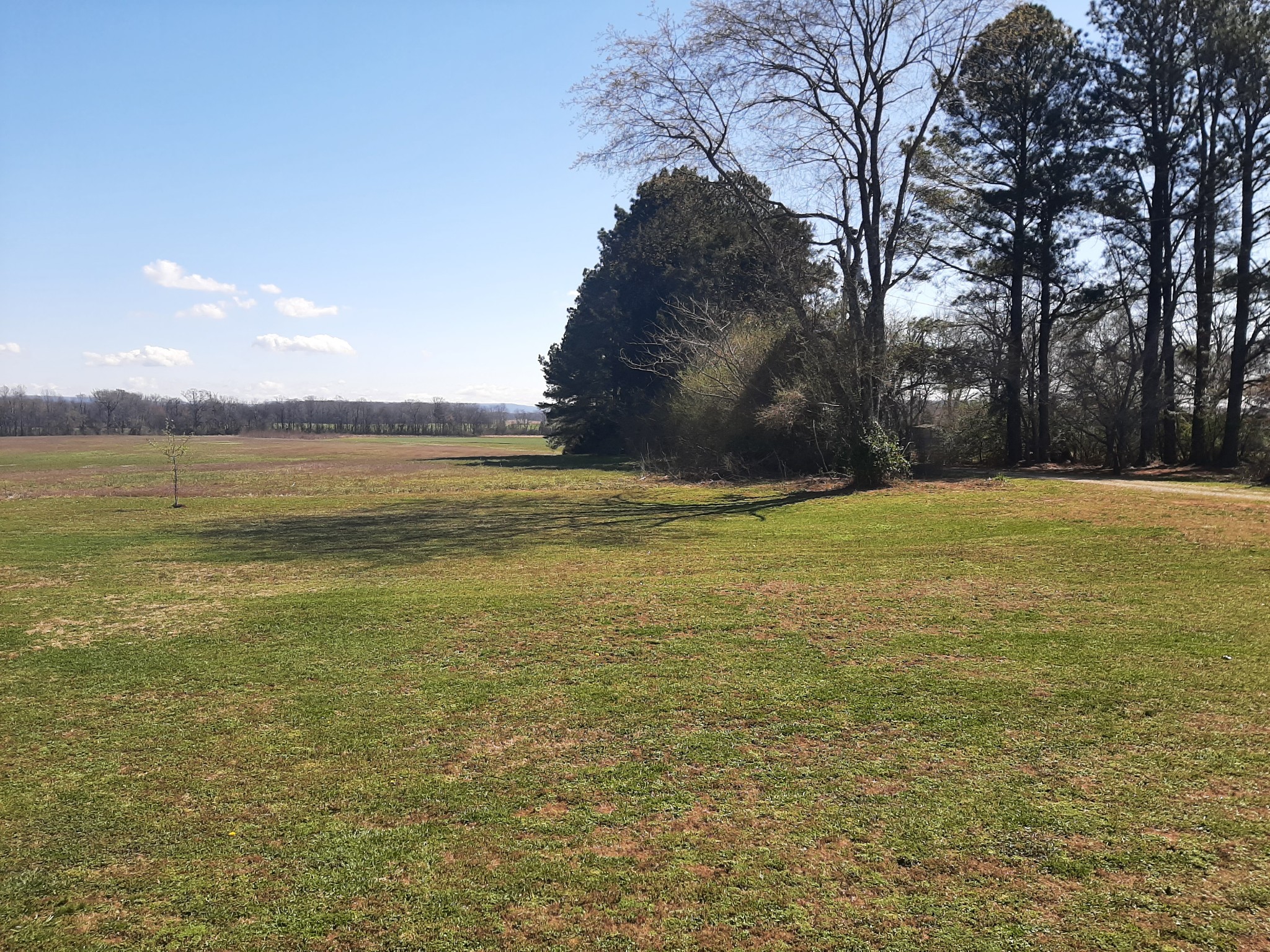 3048 Gum Creek Road Decherd, TN 37324 - Photo 13 of 15 Gallery Image 13